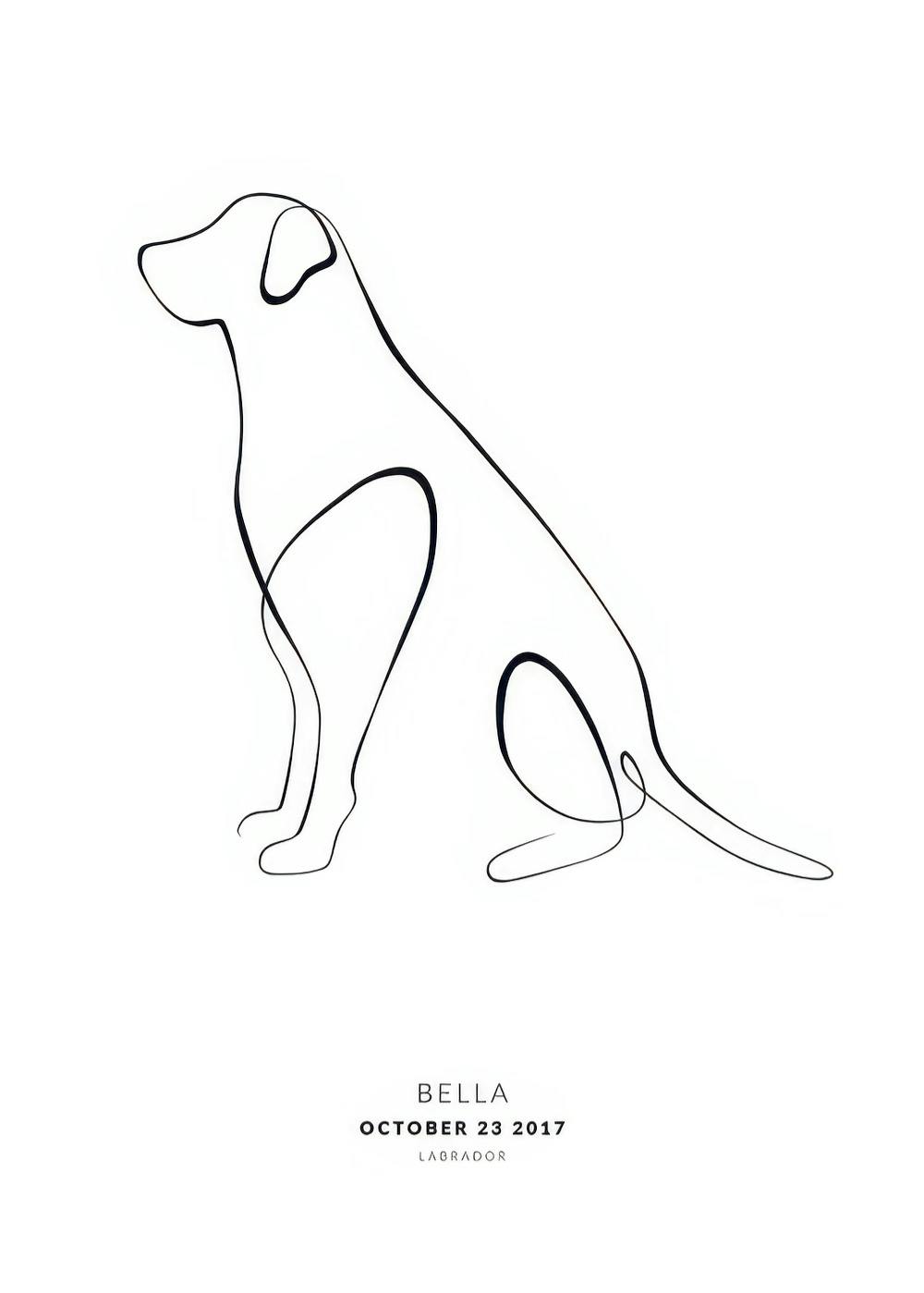 Póster personalizado con un dibujo de perro Labrador en línea continua negra sobre fondo blanco, con texto personalizable.