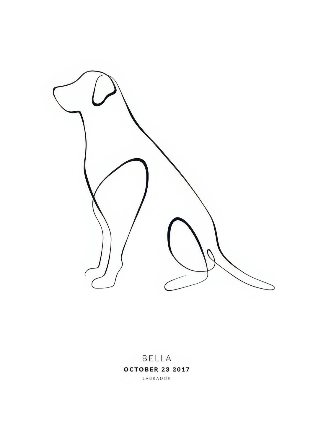 Min hund Labrador personlig plakat (30x40 cm) - Poster Store