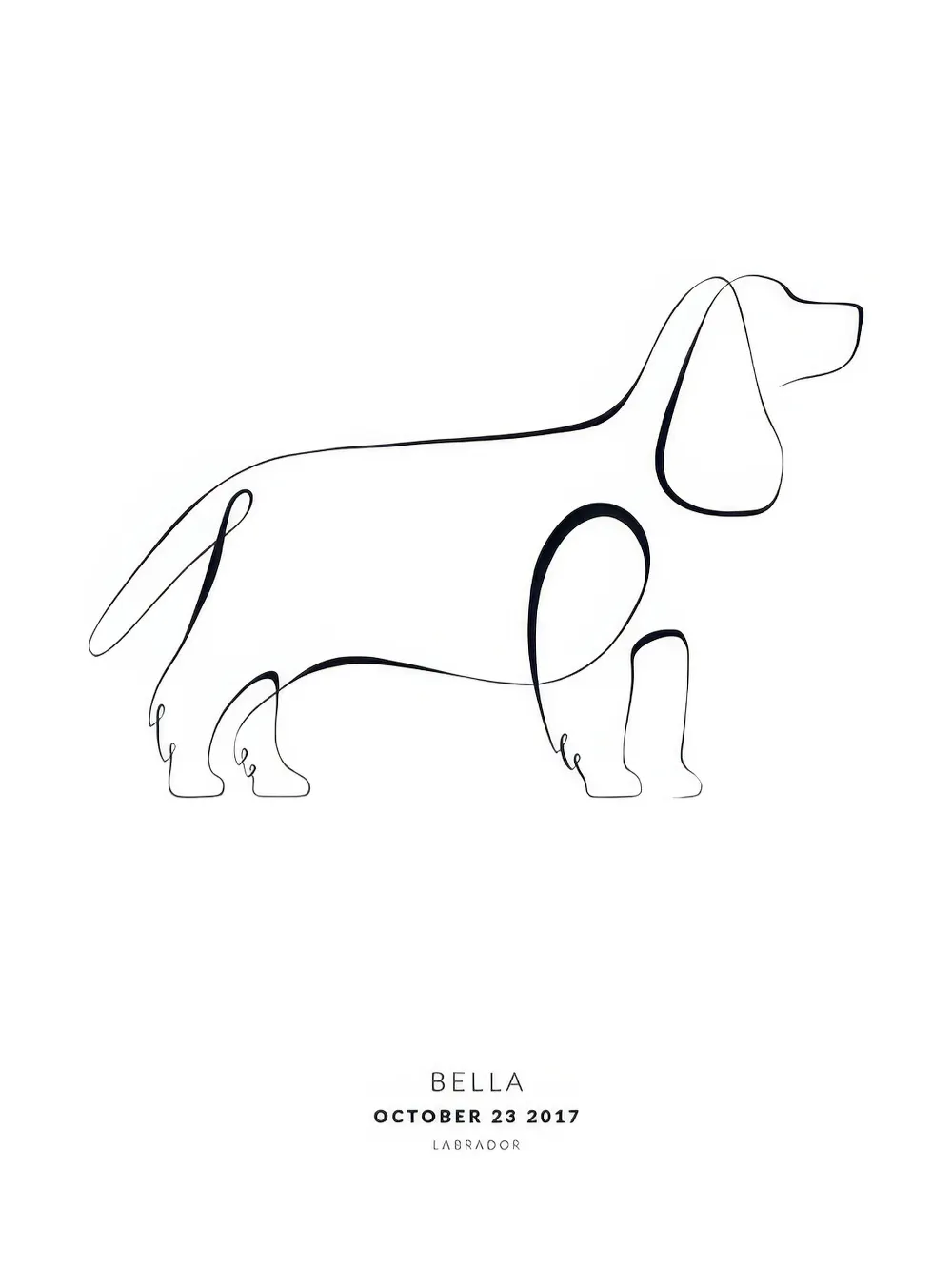 Targa Metallica Personalizzata Cocker Spaniel Inglese - Cartello Decorativo Per Interni/Esterni
