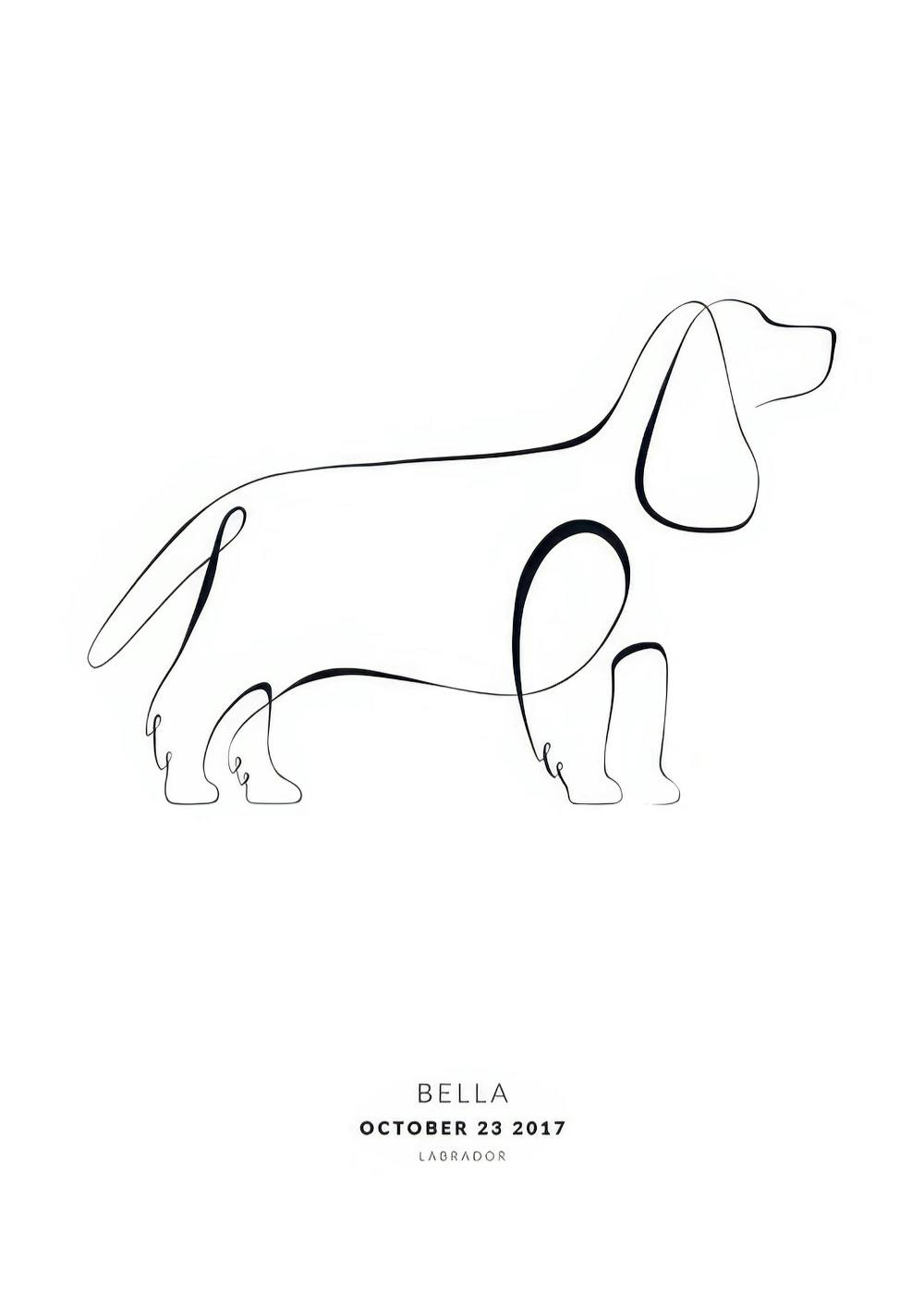 Póster personalizado con el dibujo de contorno de un perro labrador en negro sobre fondo blanco.