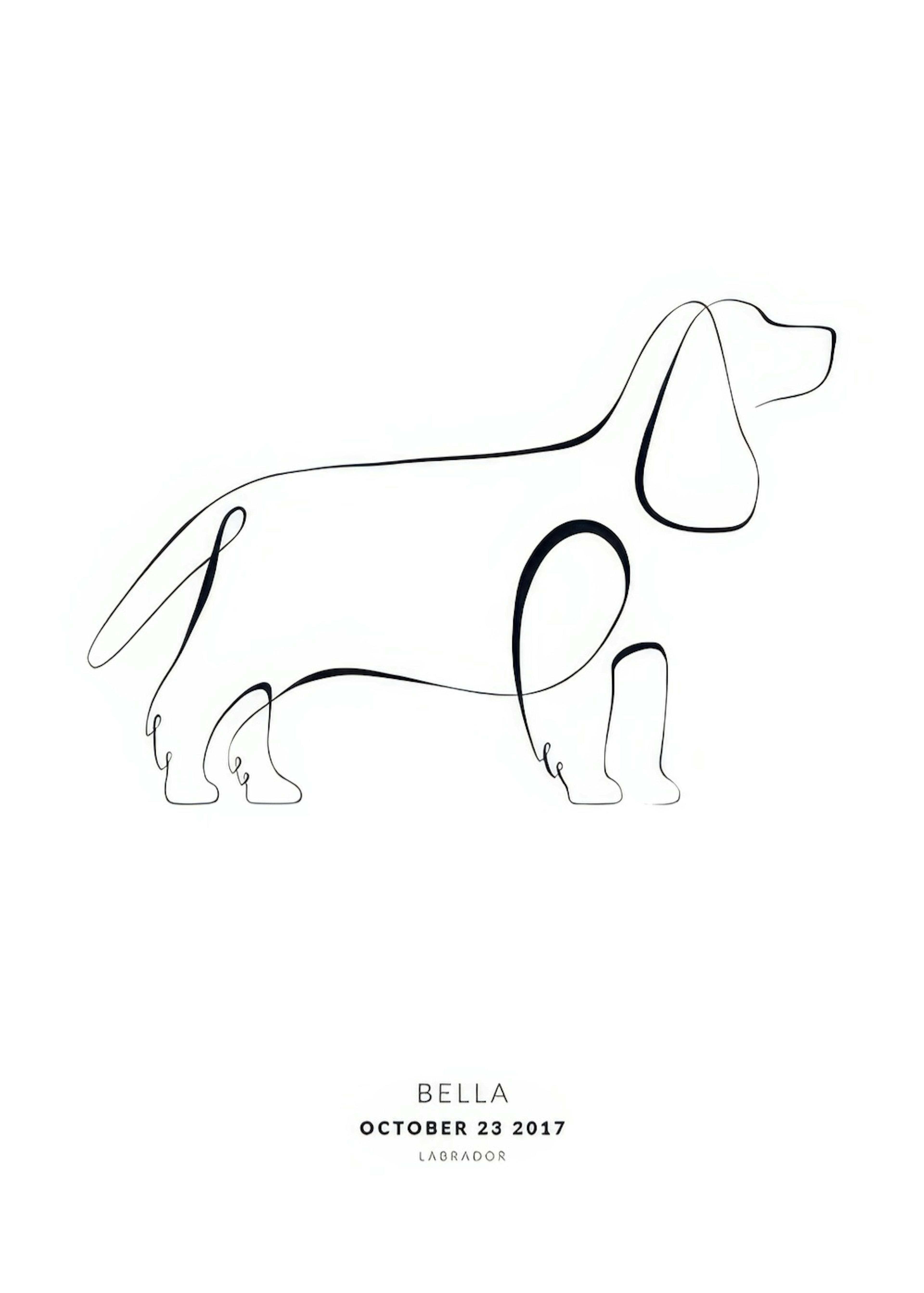 My Dog English Cocker Spaniel Personal Poster 0