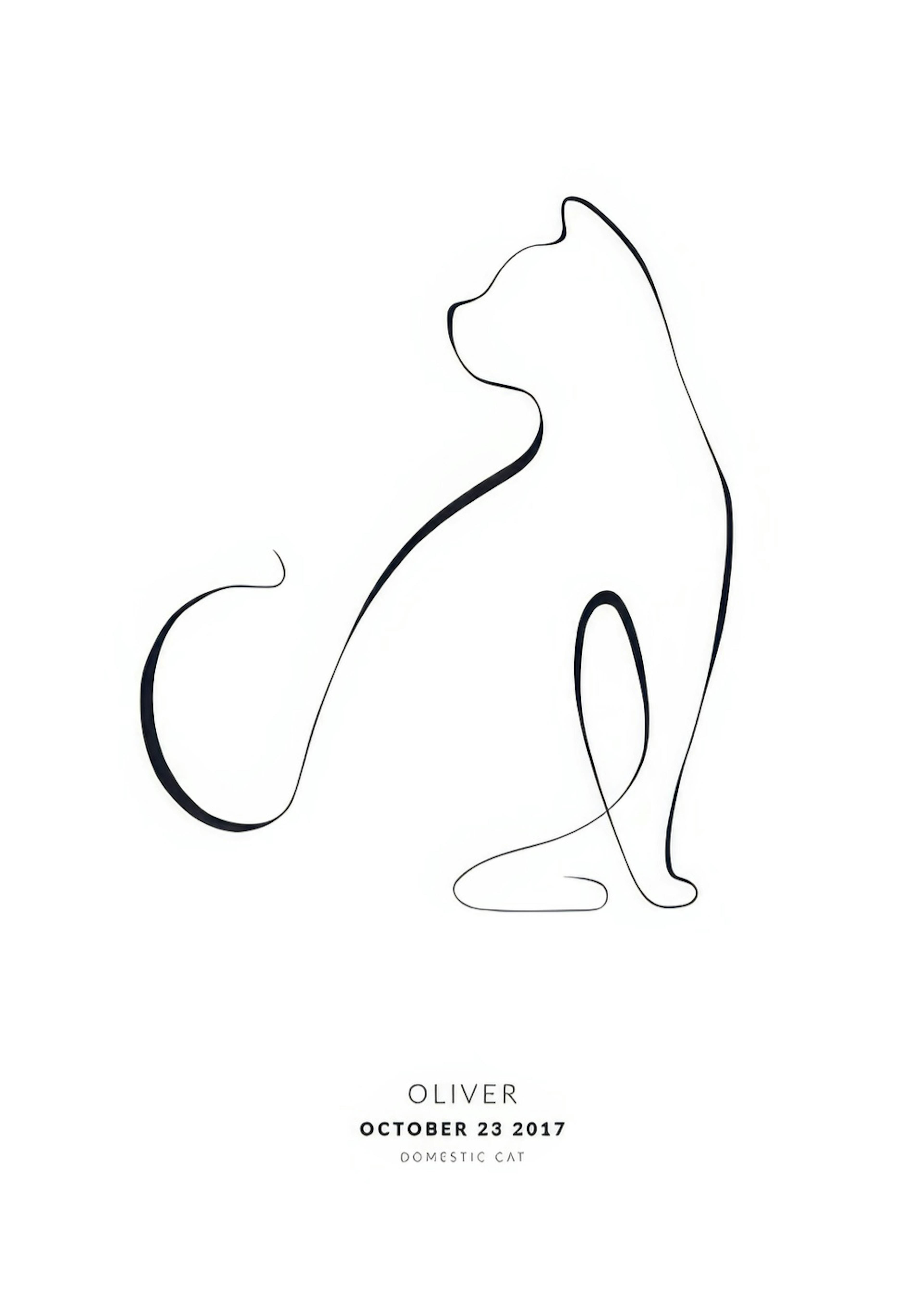 My Cat Domestic Cat Personal Poster 0
