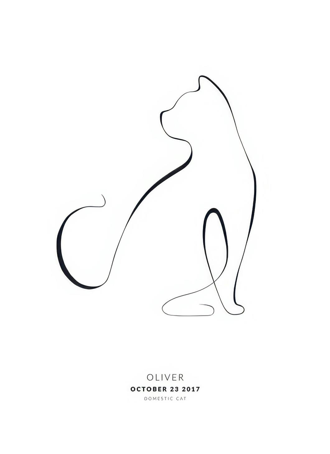My Cat Domestic Cat Personal Poster (50x70 cm) - Poster Store
