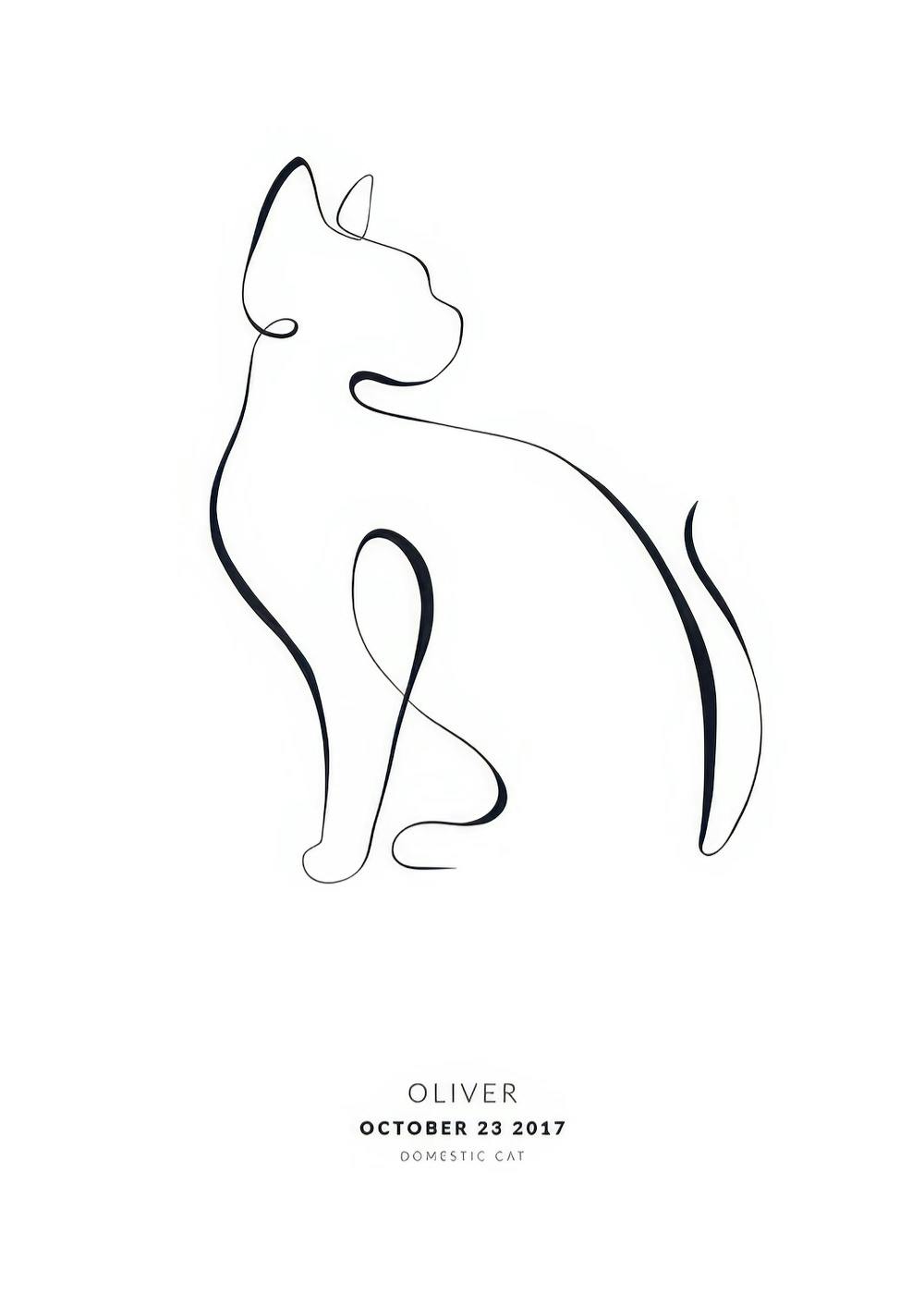 Póster personalizado con el dibujo minimalista de un gato sentado, en línea continua negra sobre fondo blanco.