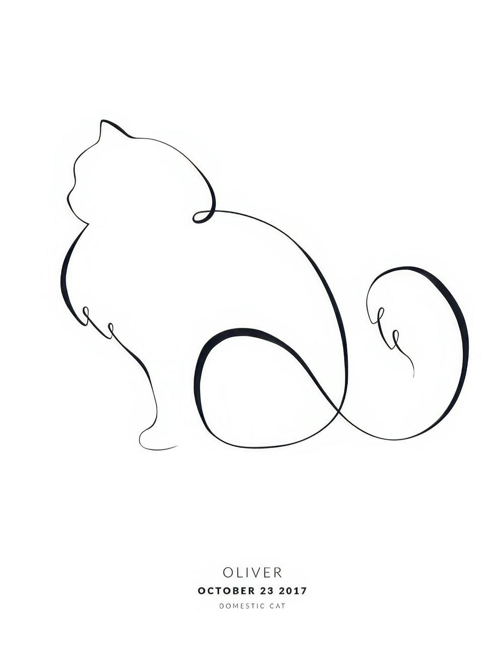 POSTER PUBBLICITARIO | Barbieri Italiani - Foto 5