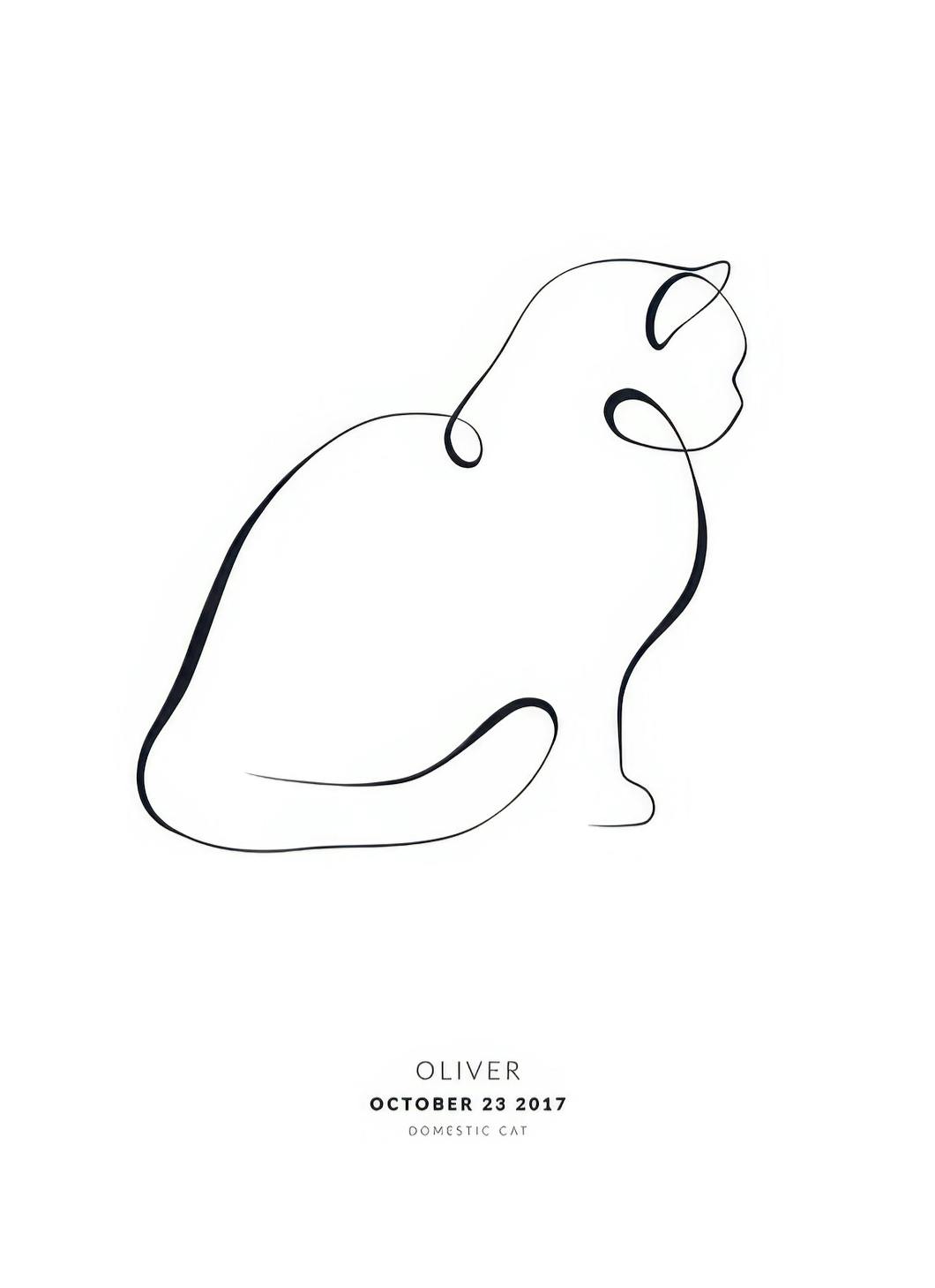 My Cat British Shorthair Personal Poster (50x70 cm) - Poster Store