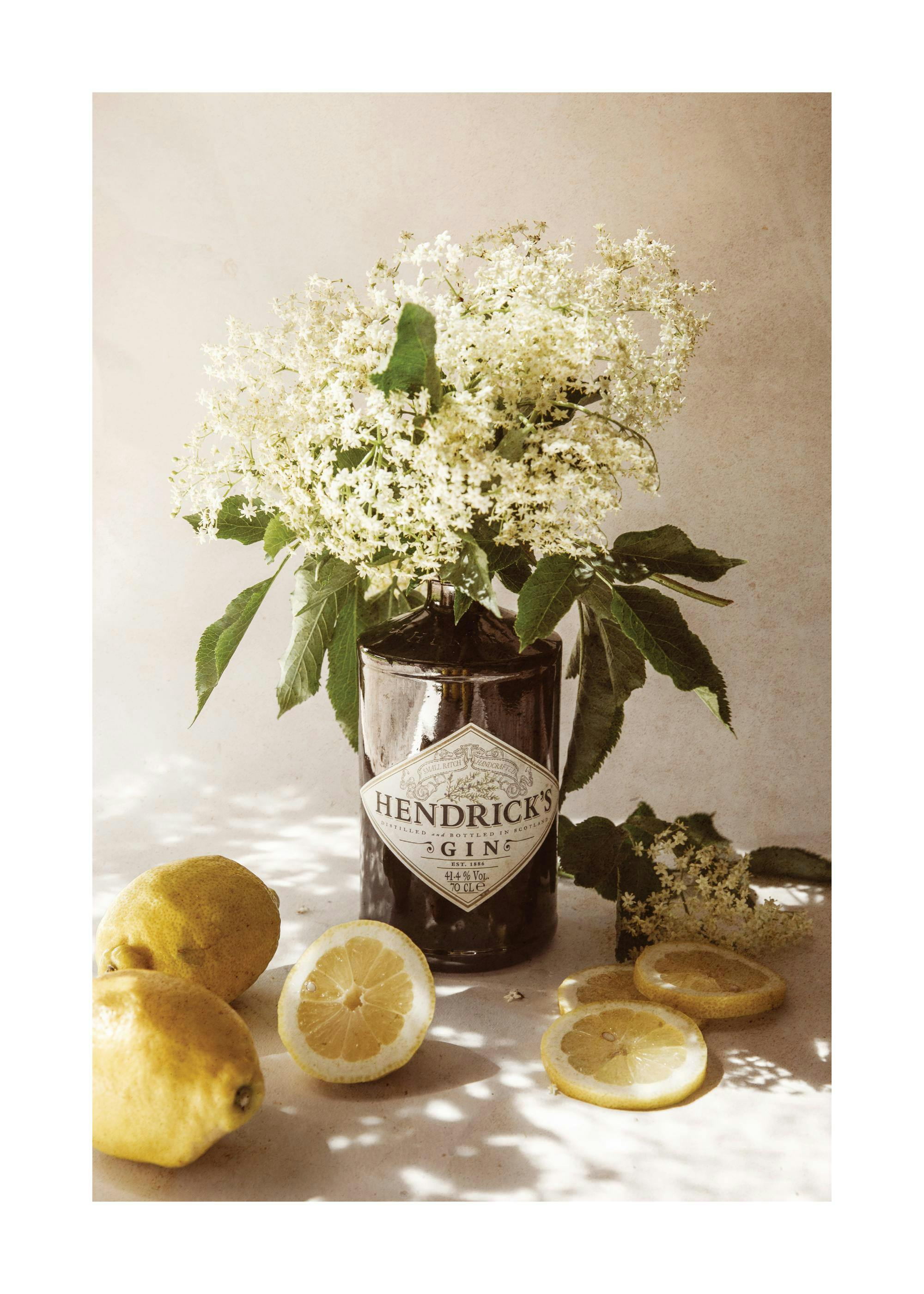Zitronen und Holunderblüten Gin Poster 0