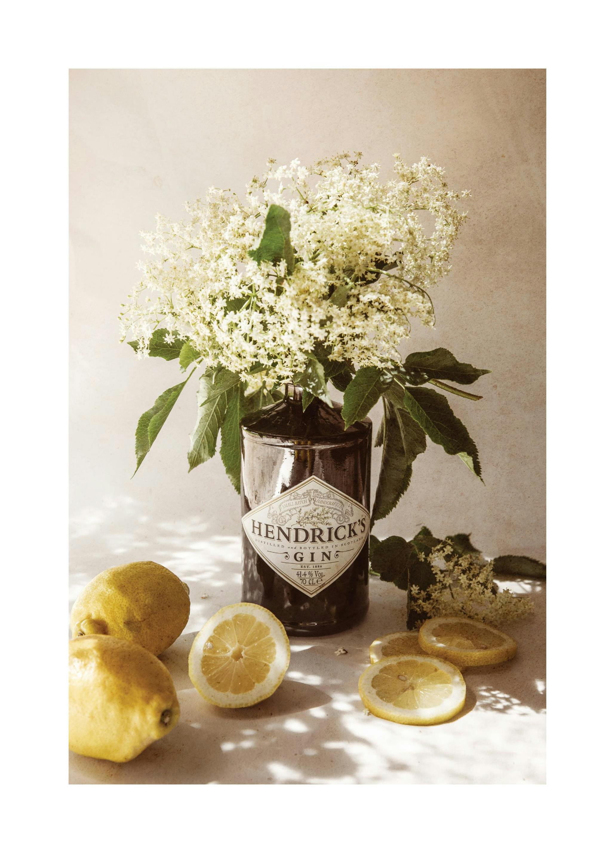 Citroner och Flädergin Poster (50x70 cm) - Poster Store