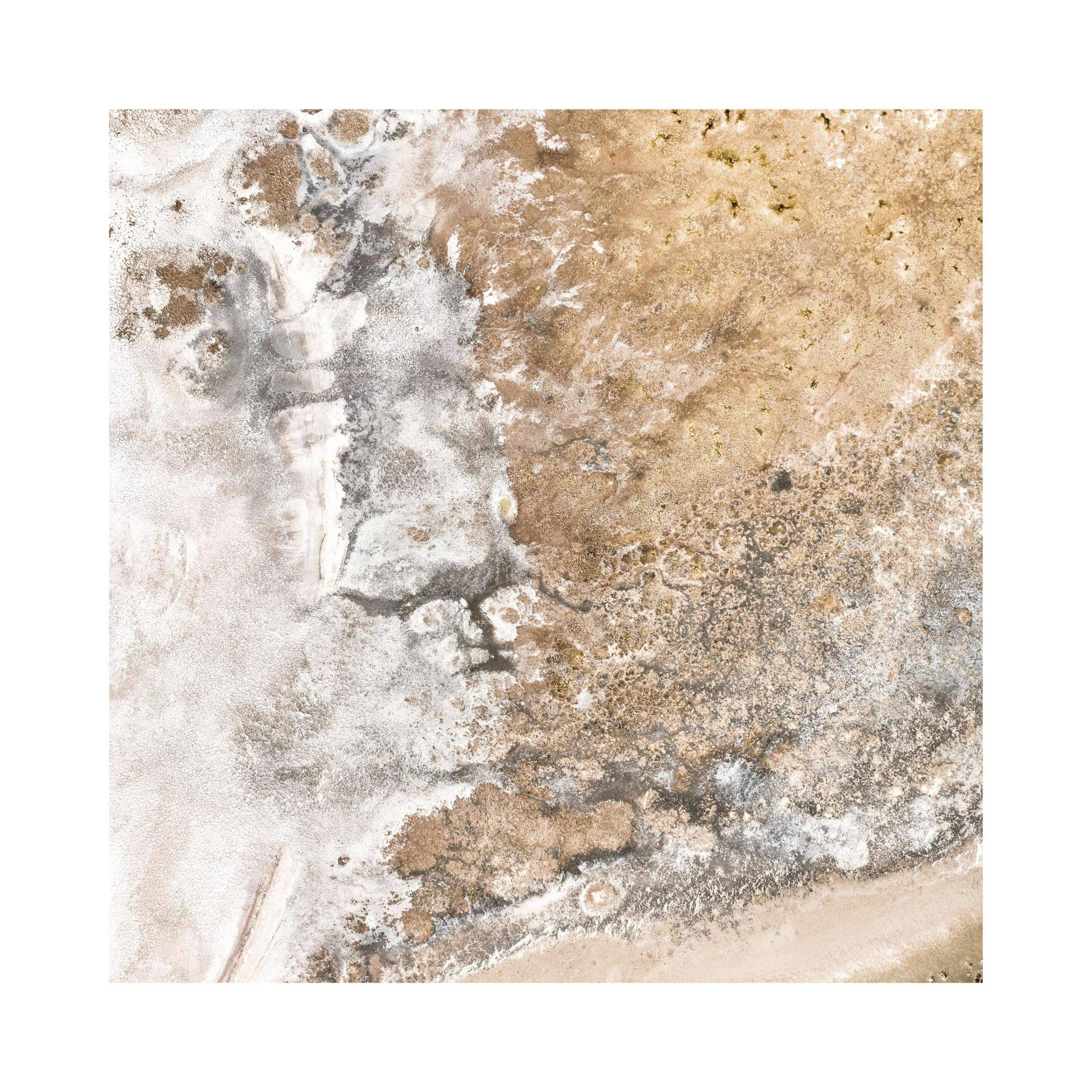 Shore of Gold Poster thumbnail