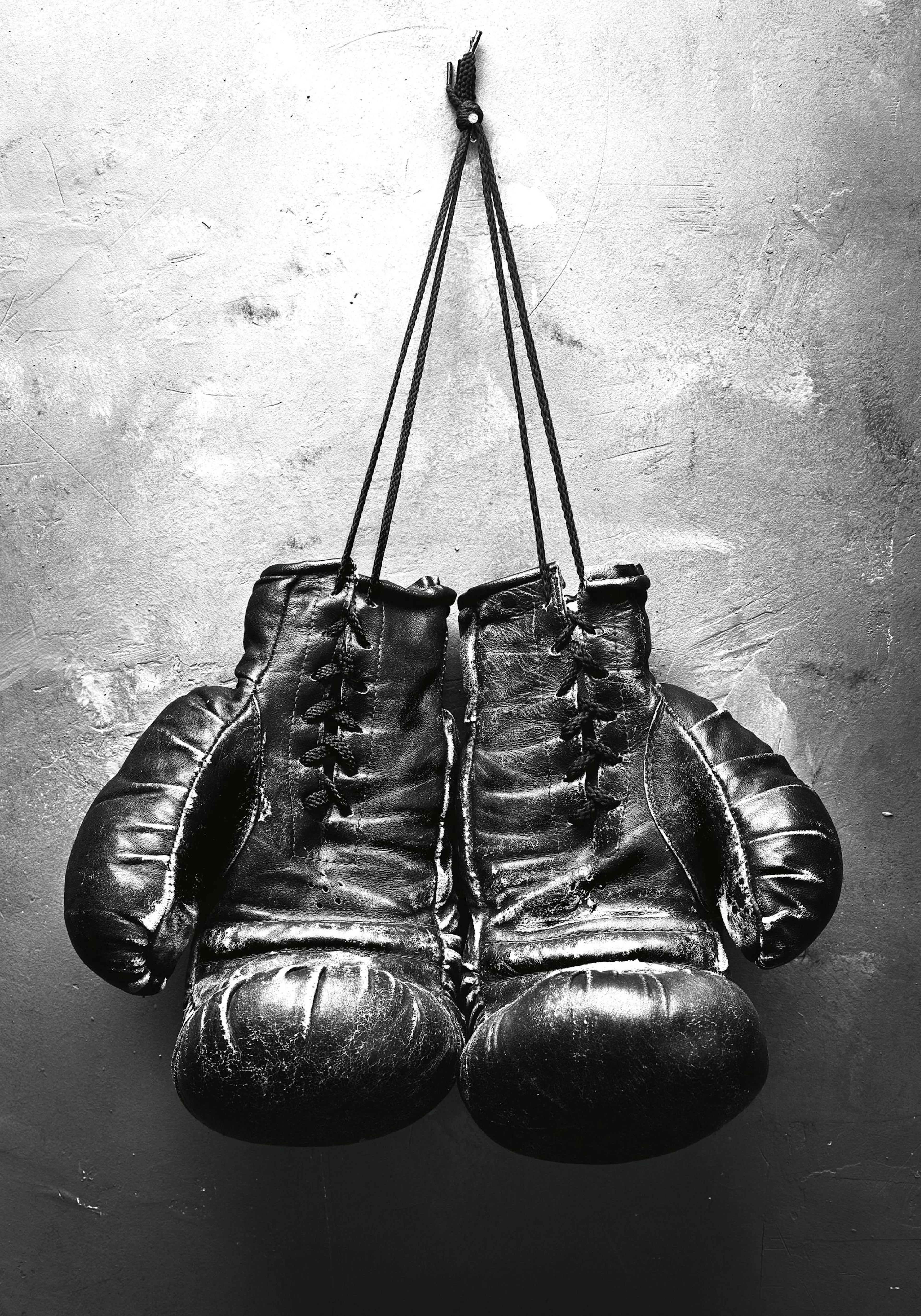Boxing Gloves Poster thumbnail