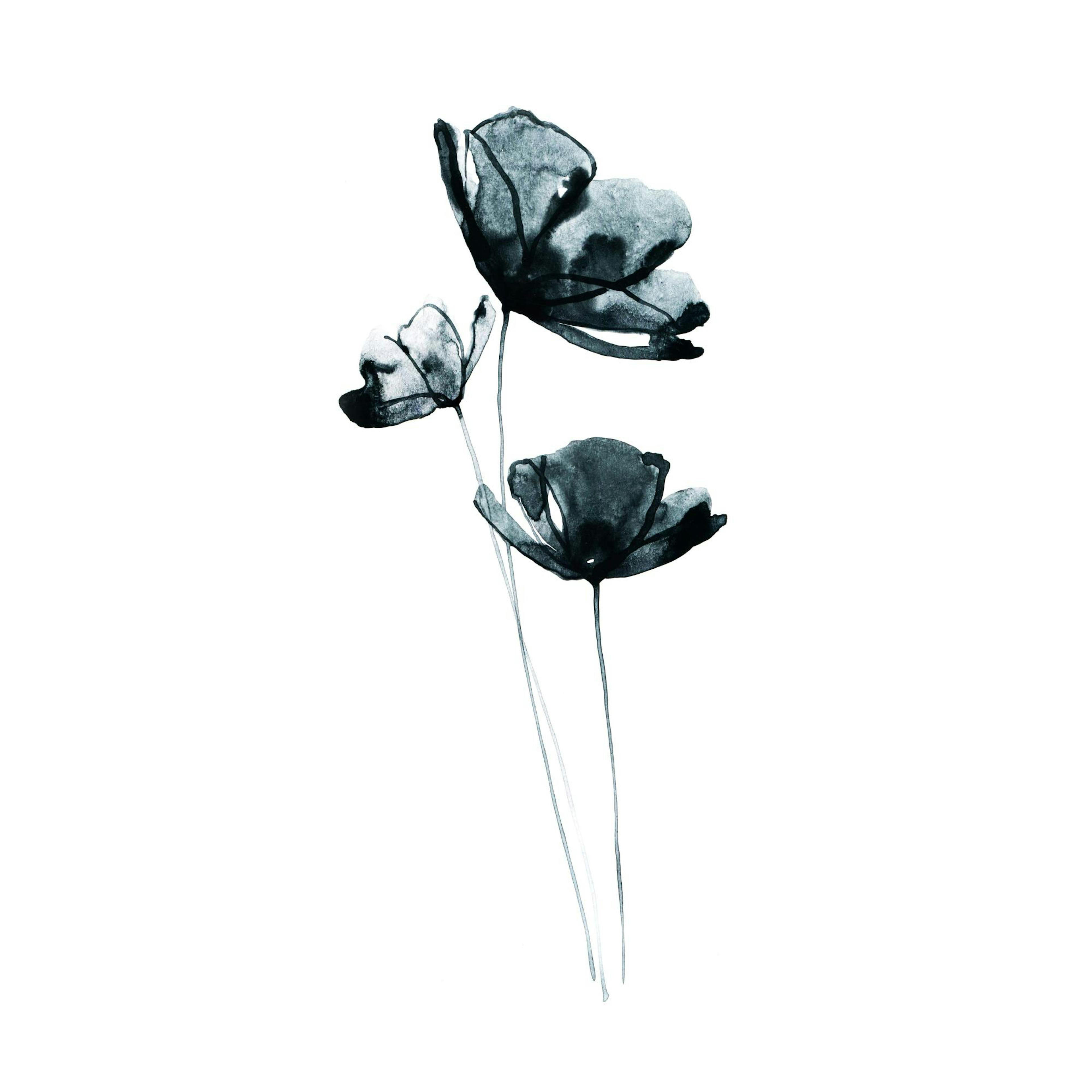 Dark Flowers Poster thumbnail