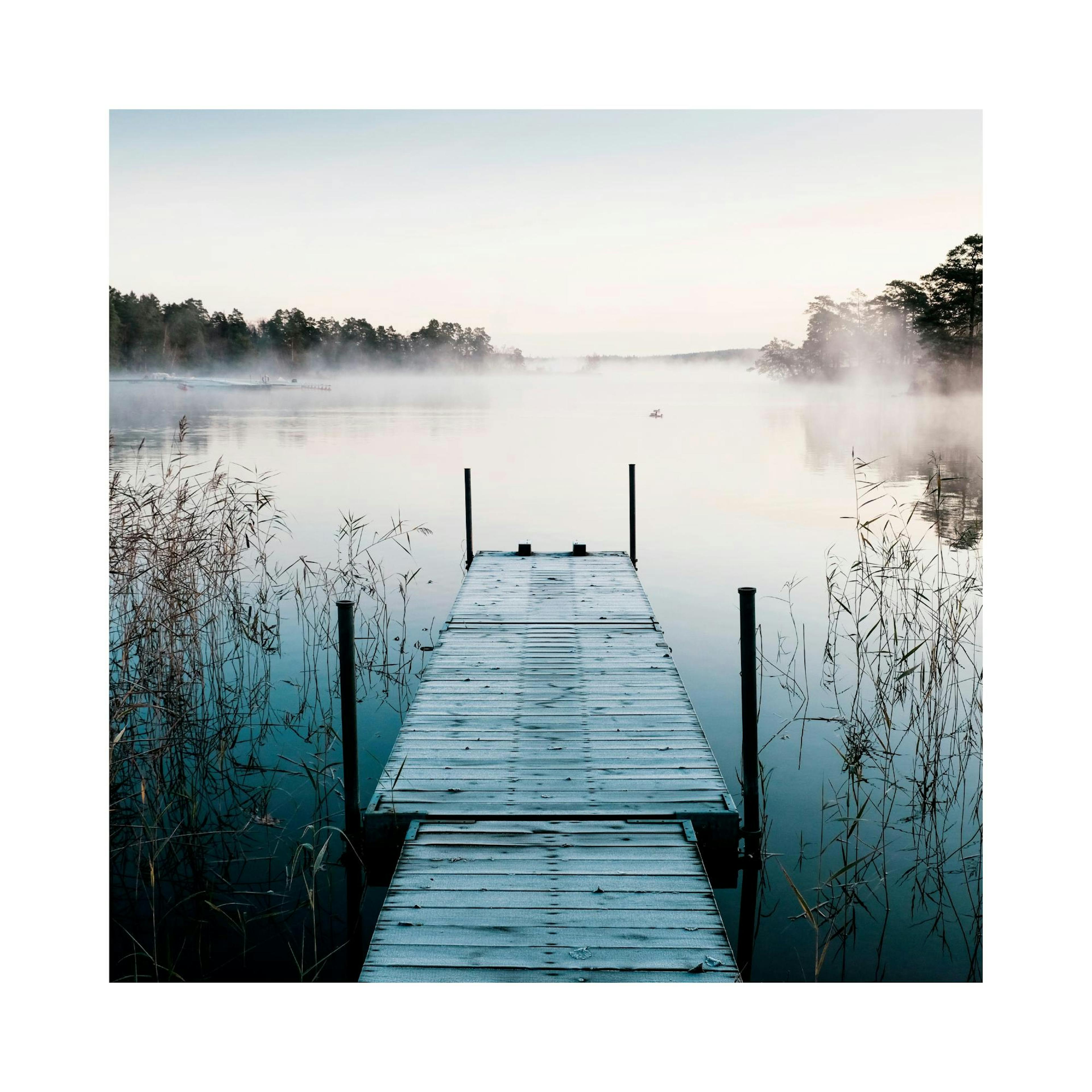 Jetty Morning Fog Poster thumbnail