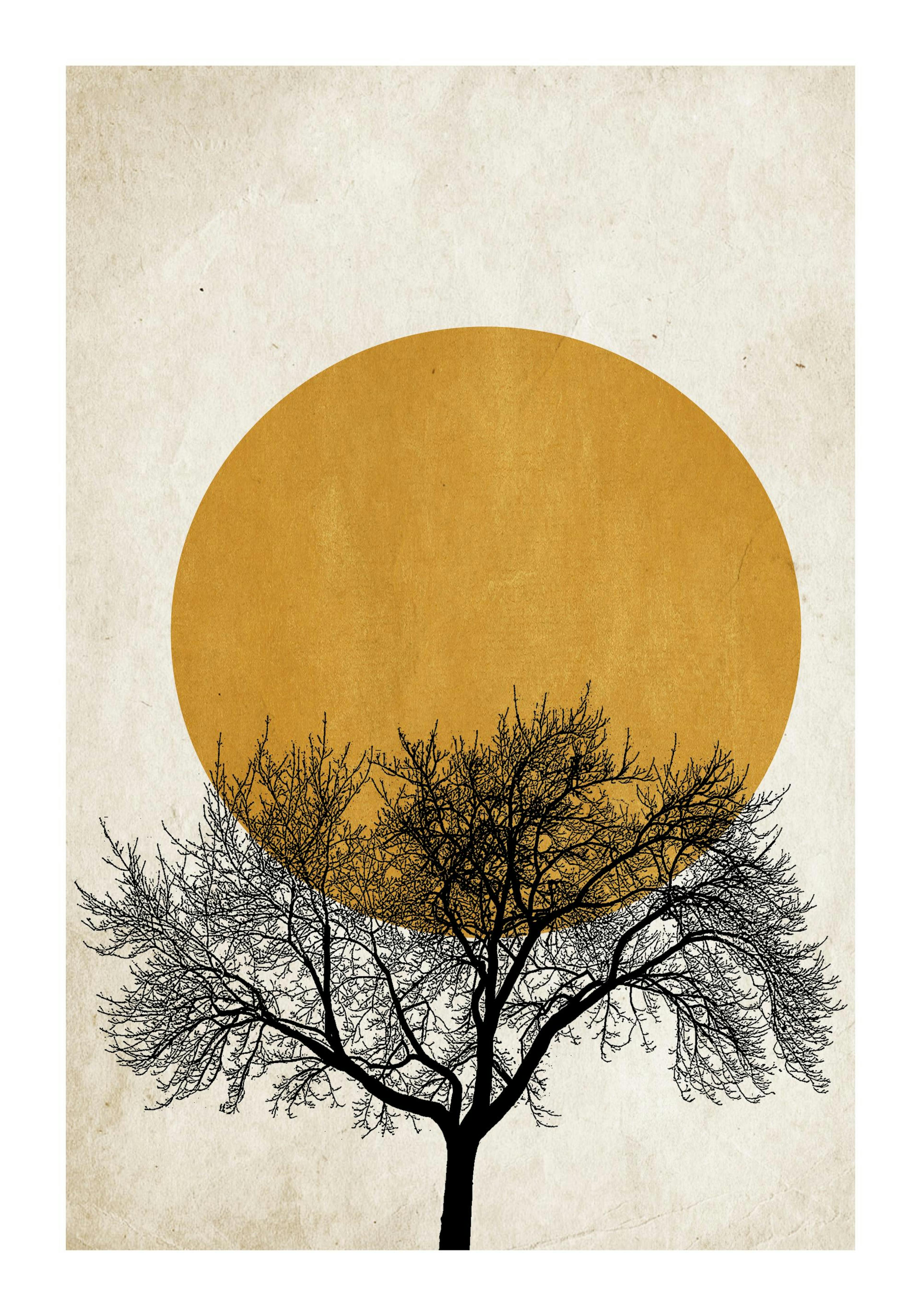 Winter Morning Poster 0