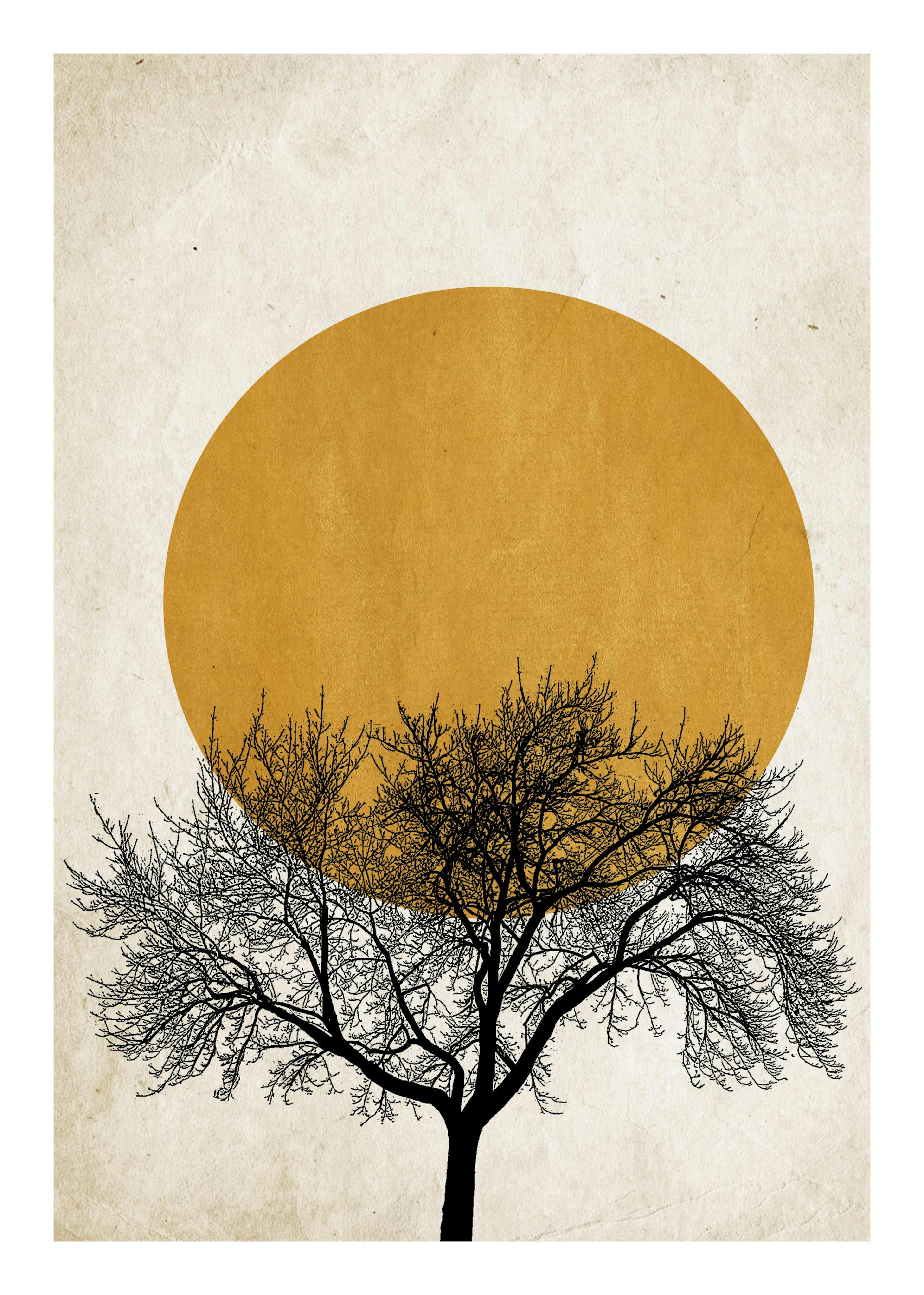 Winter Morning Poster 0