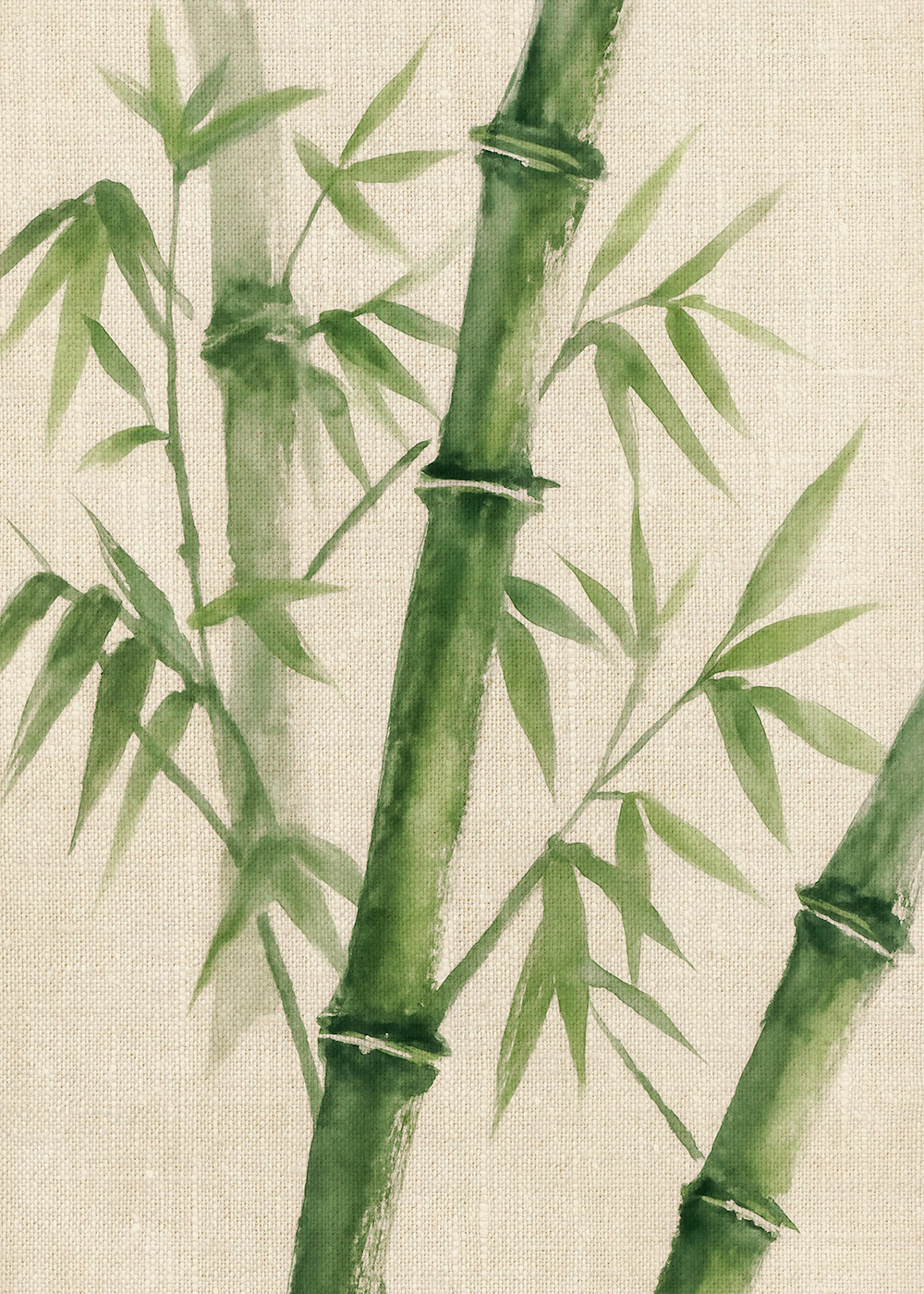 Bamboo on Linen Poster 0