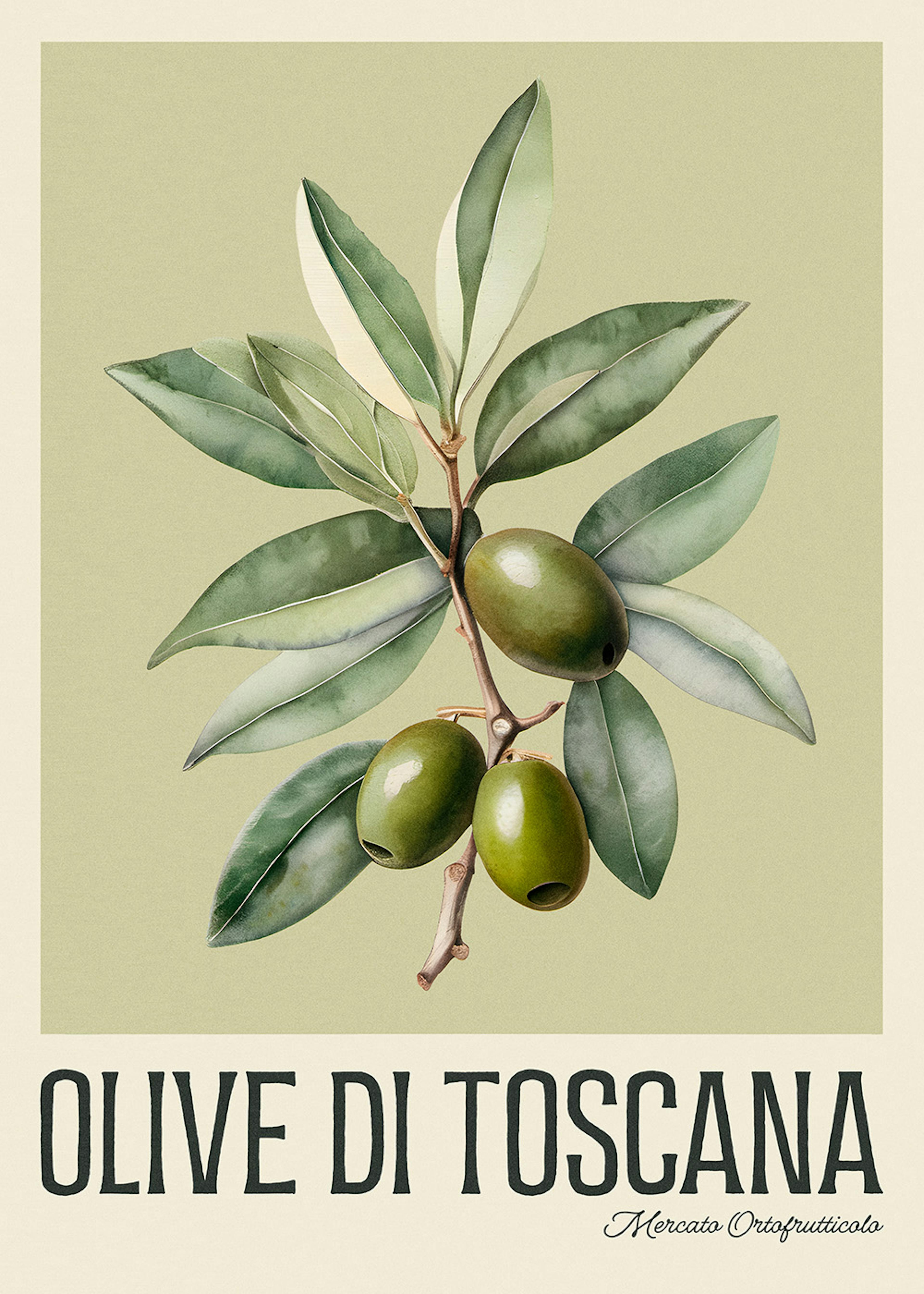 Olive di Toscana Poster 0