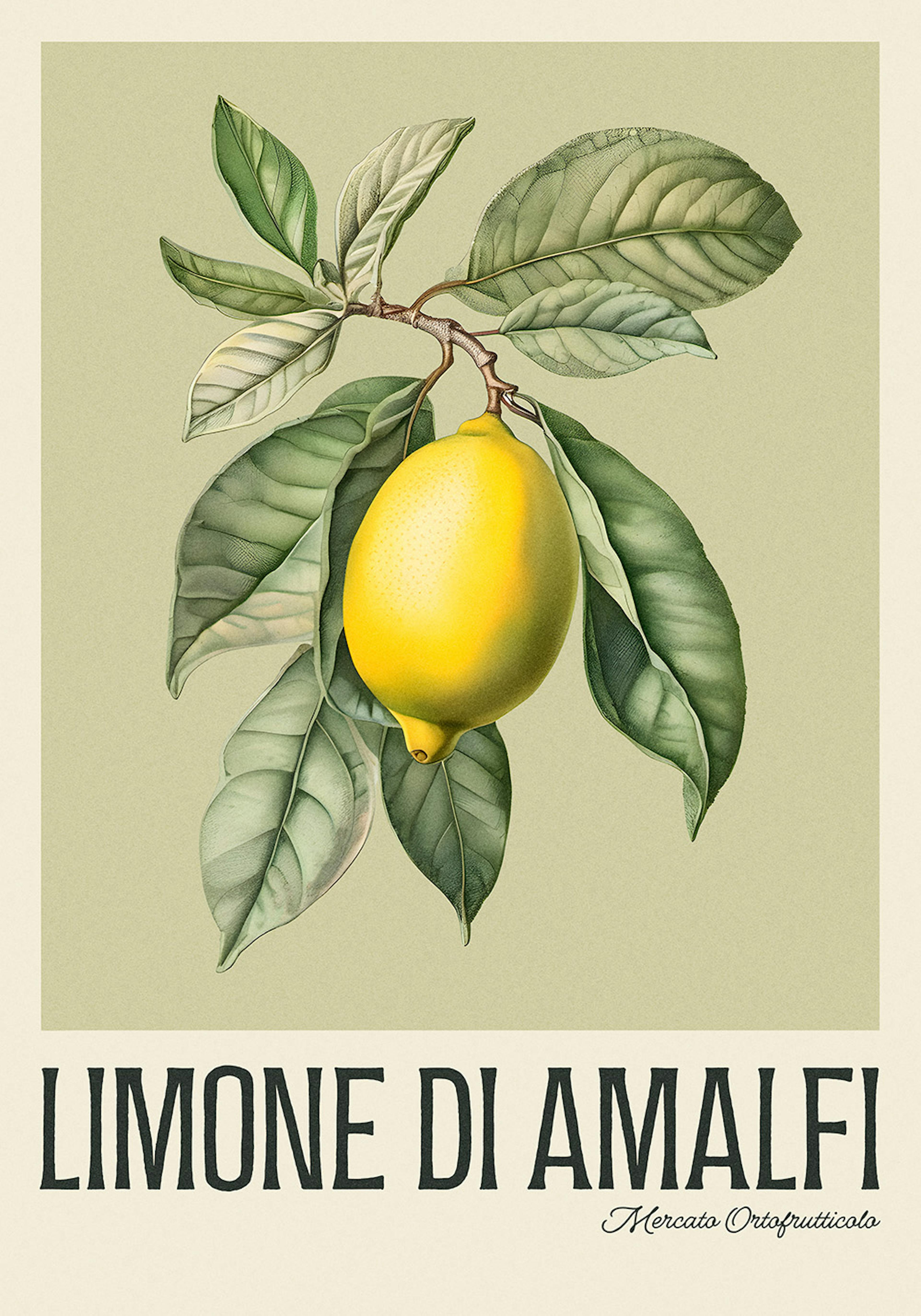 Limone di Amalfi Poster thumbnail