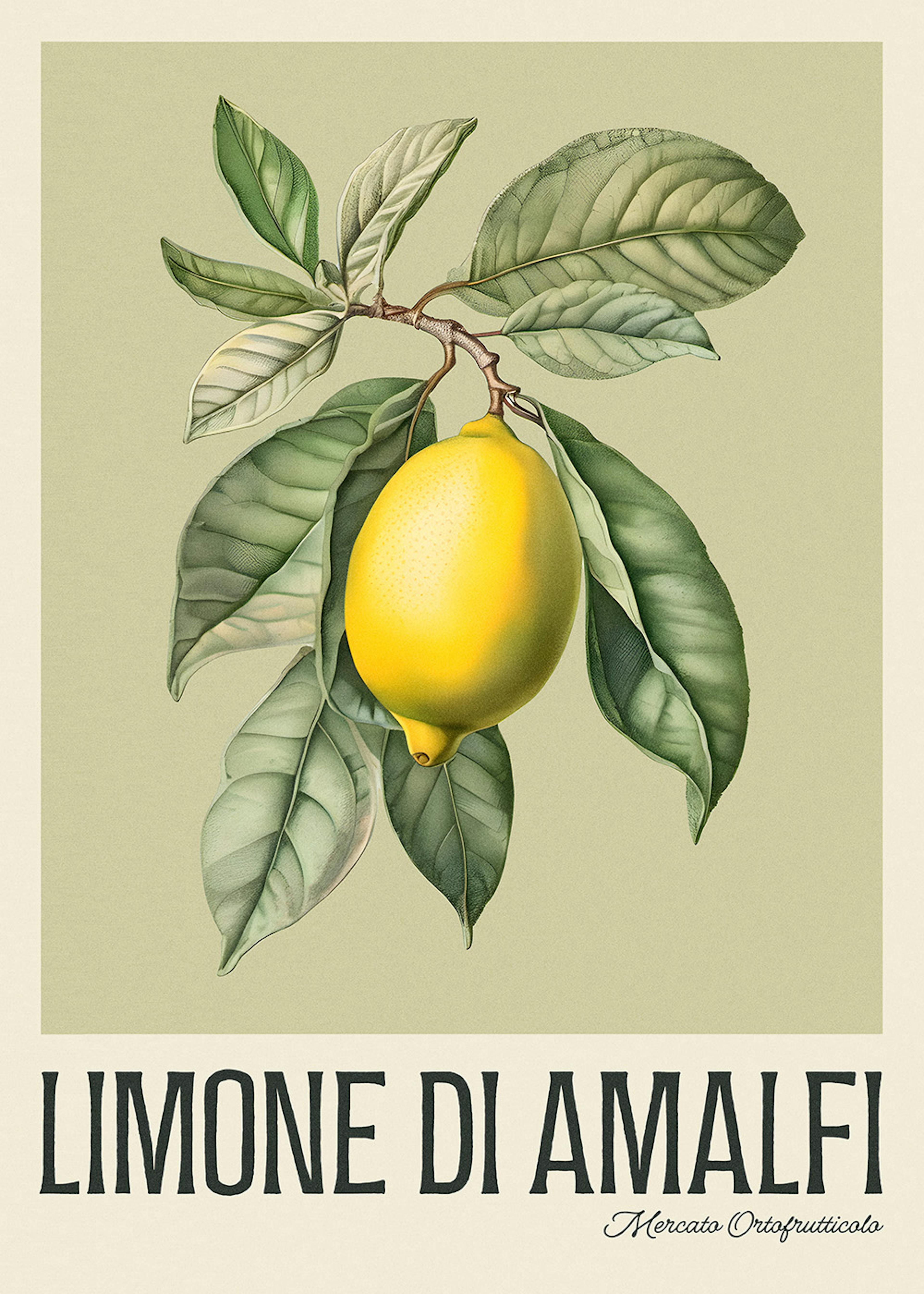 Limone di Amalfi Poster 0