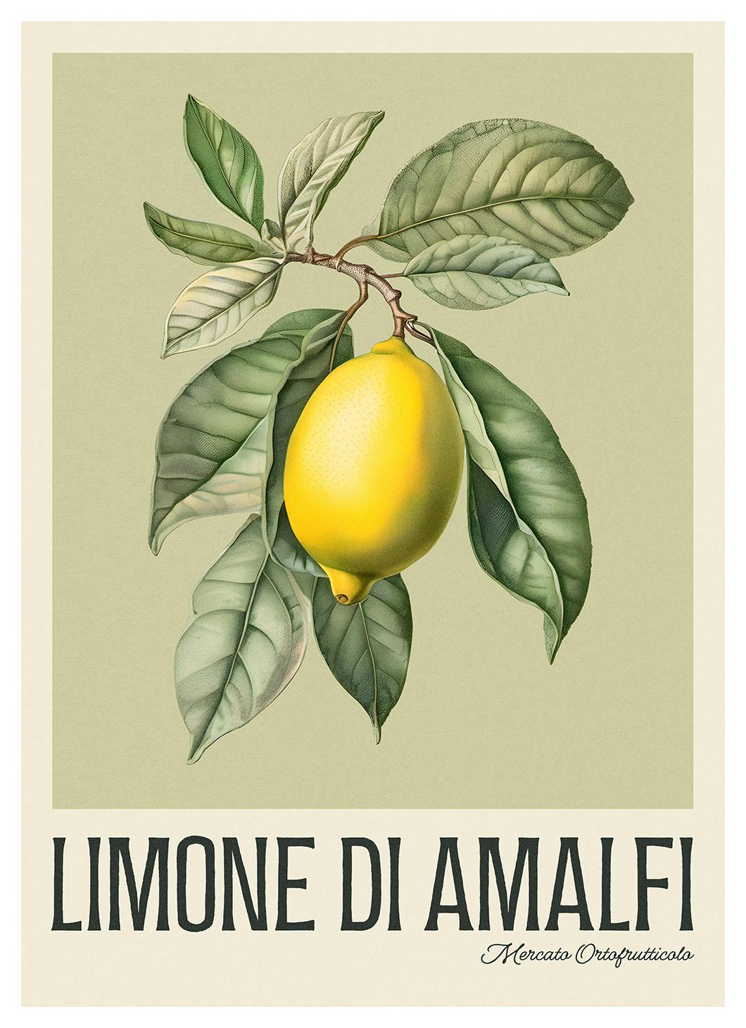 Limone di Amalfi Poster (50x70 cm) - Poster Store