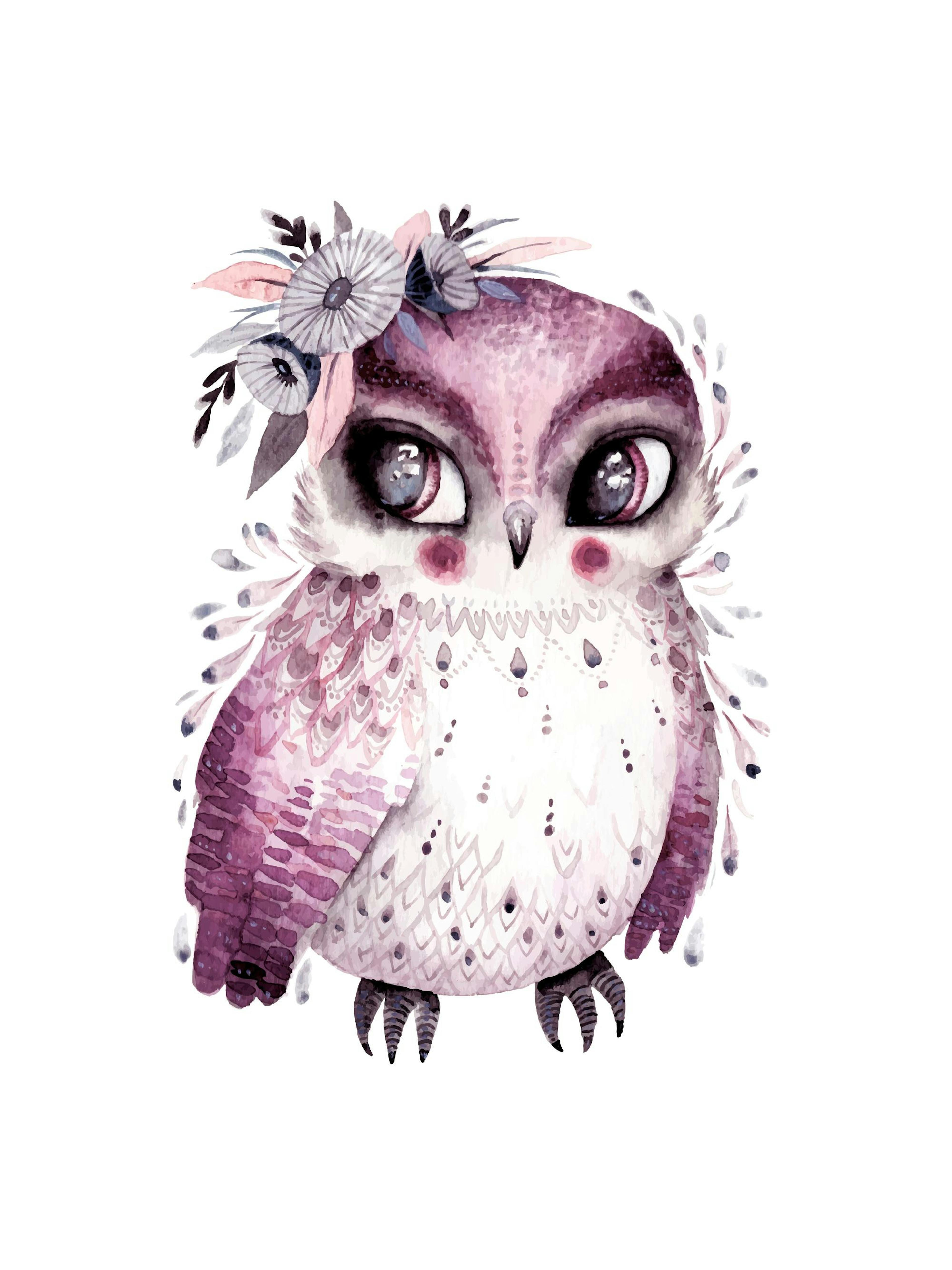 Little Owl Poster 0