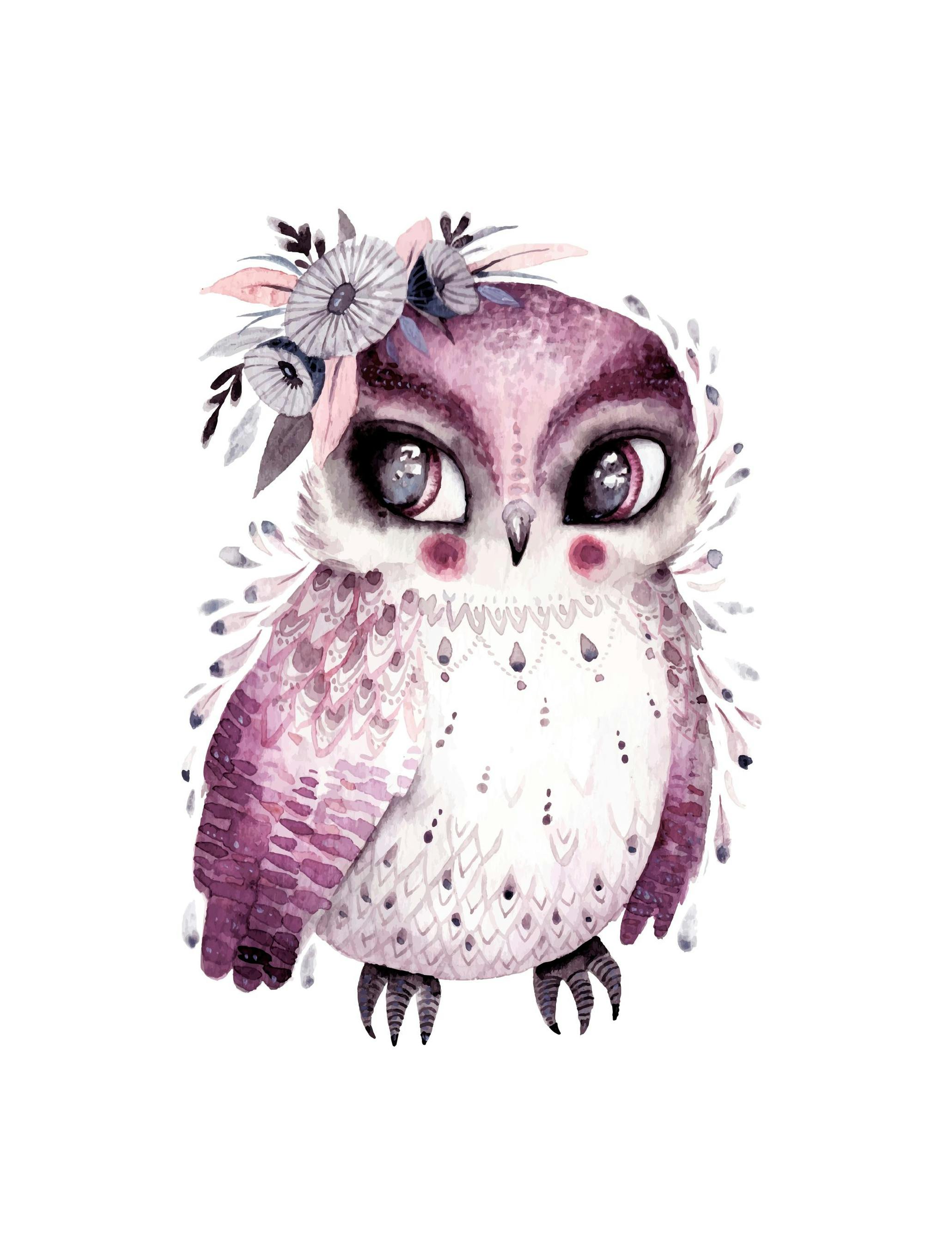 Little Owl Poster (30x40 cm) - Poster Store