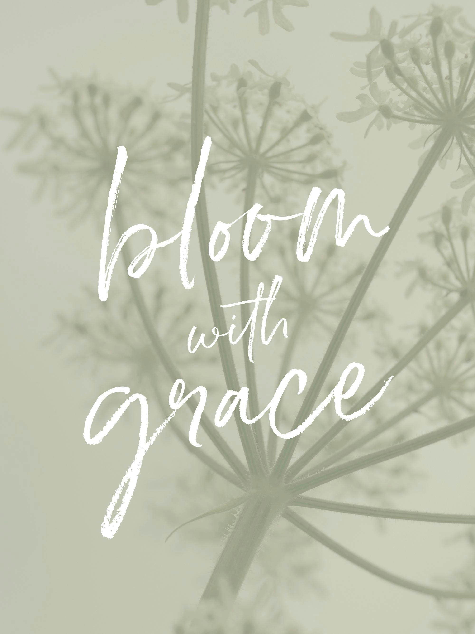 Poster mit weißer Schrift Bloom with grace auf hellem, floralem Hintergrund mit zarten Blumen.