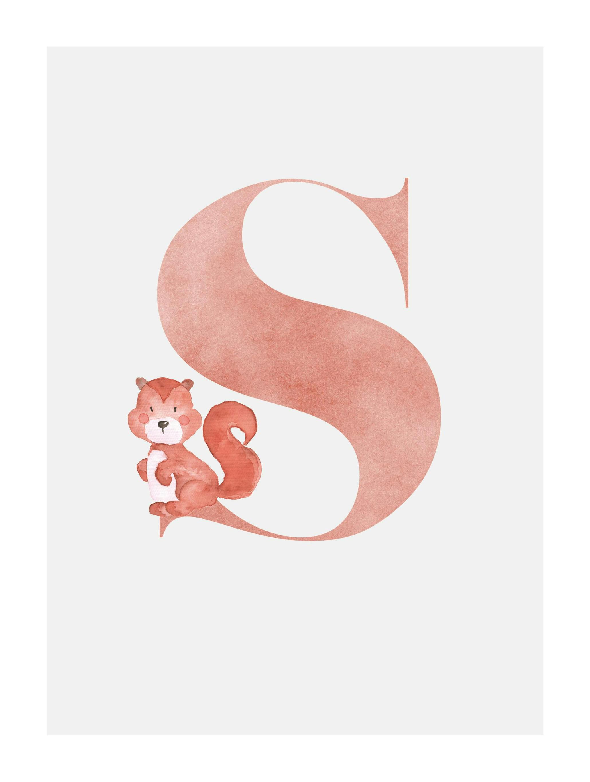 Alphabet S Poster (21x30 cm) - Poster Store