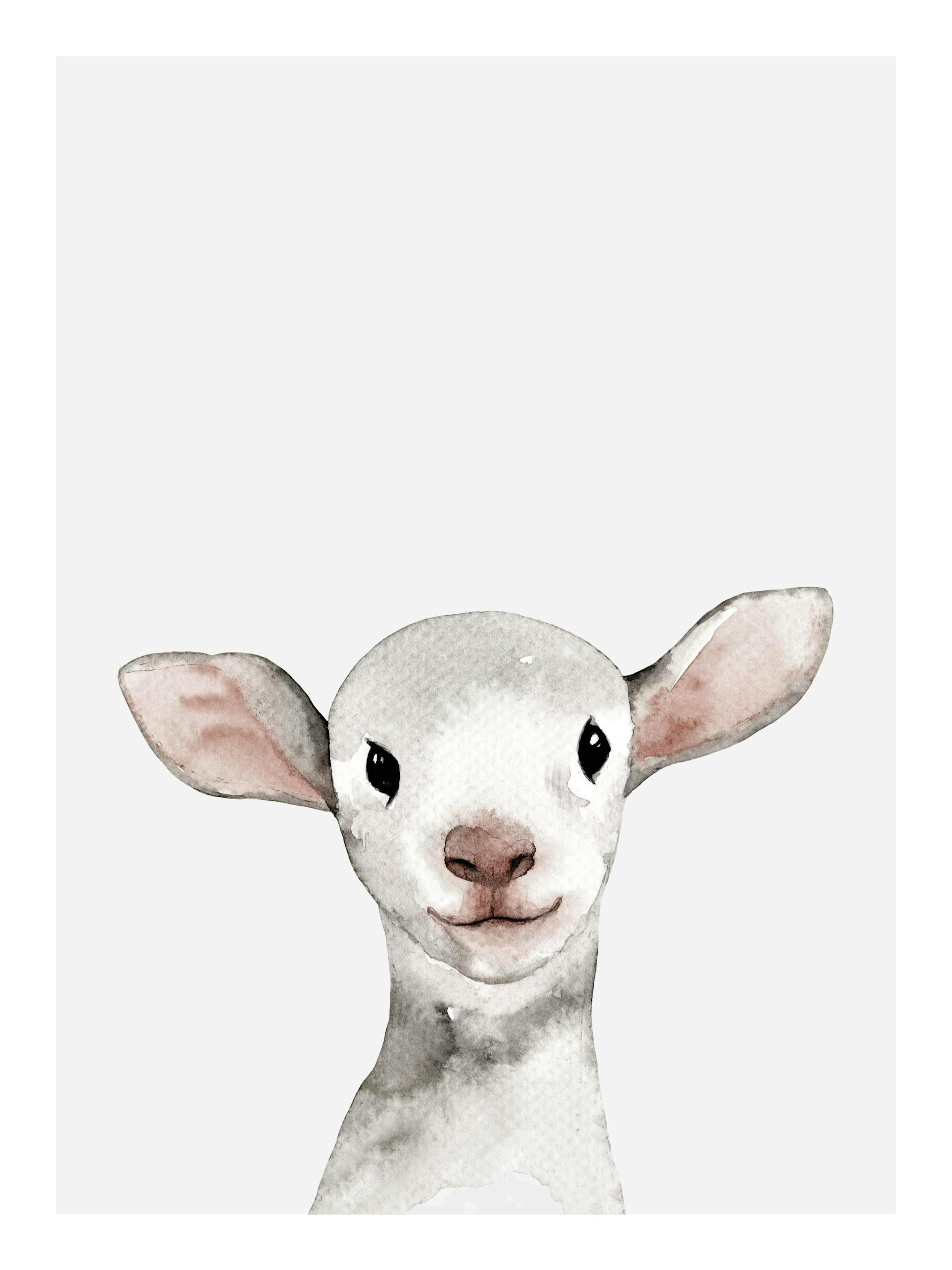 Little Lamb Poster 0