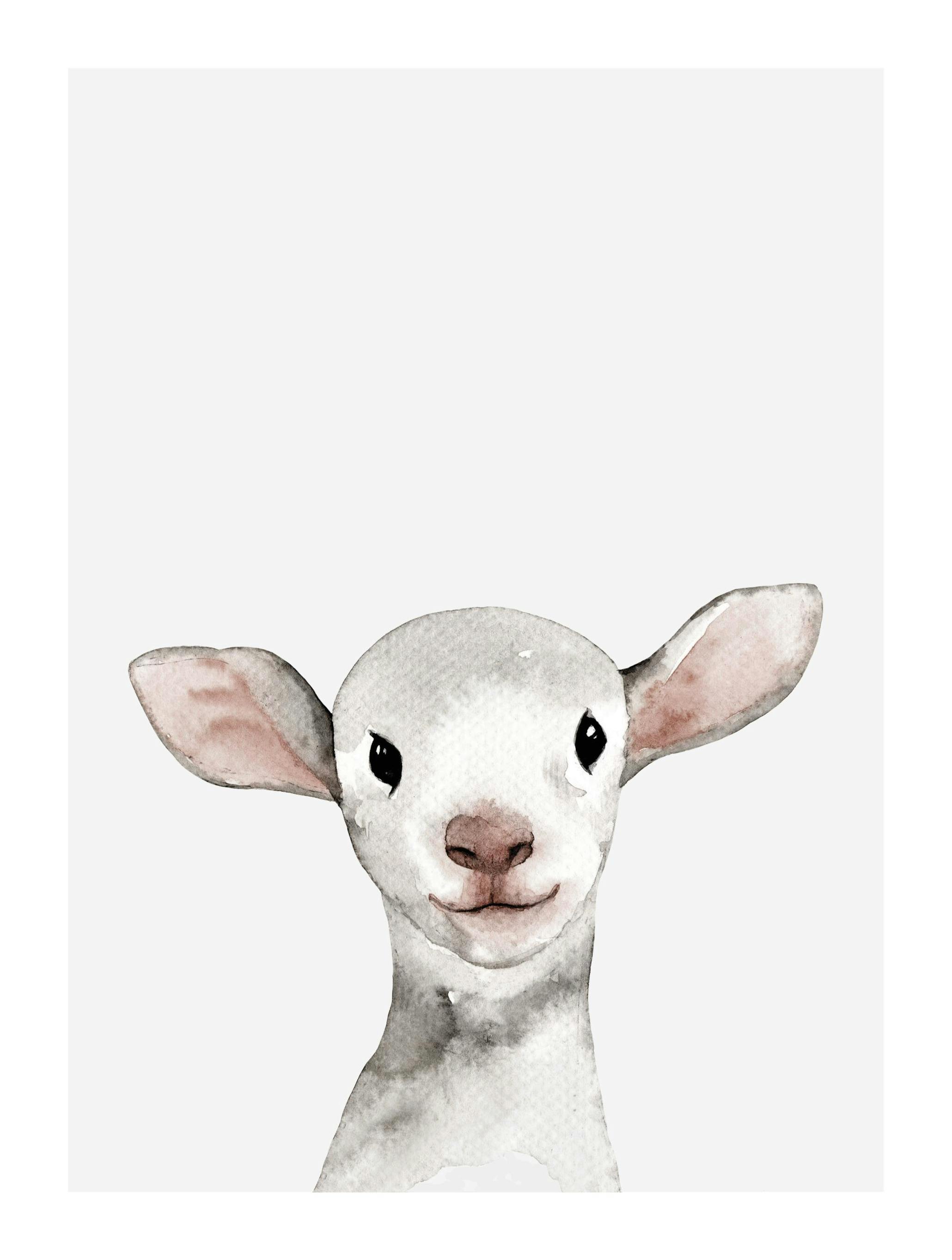 Klein Lammetje Poster (30x40 cm) - Poster Store