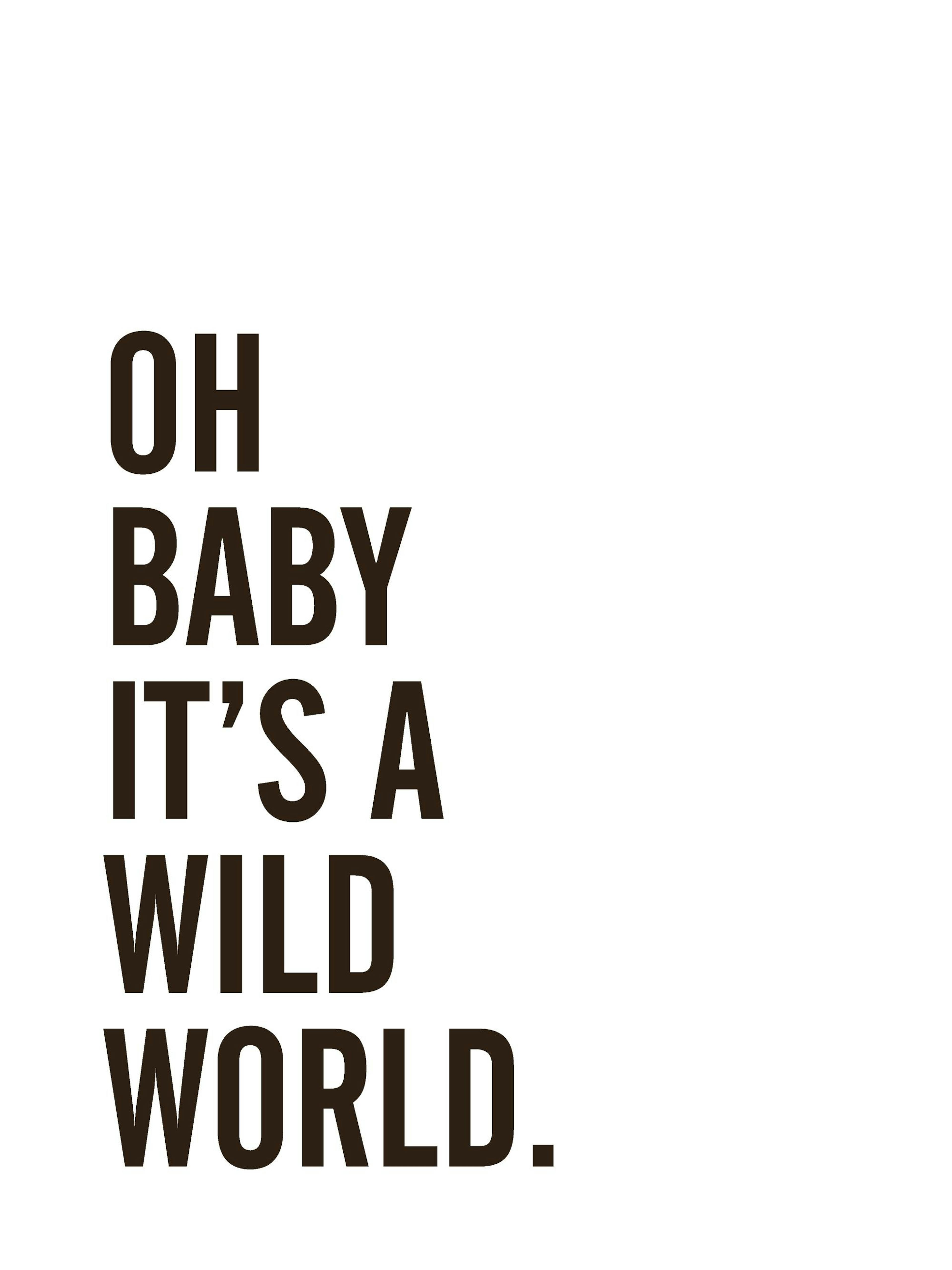 A poster with the phrase OH BABY ITS A WILD WORLD. in bold, dark brown letters on a white background.