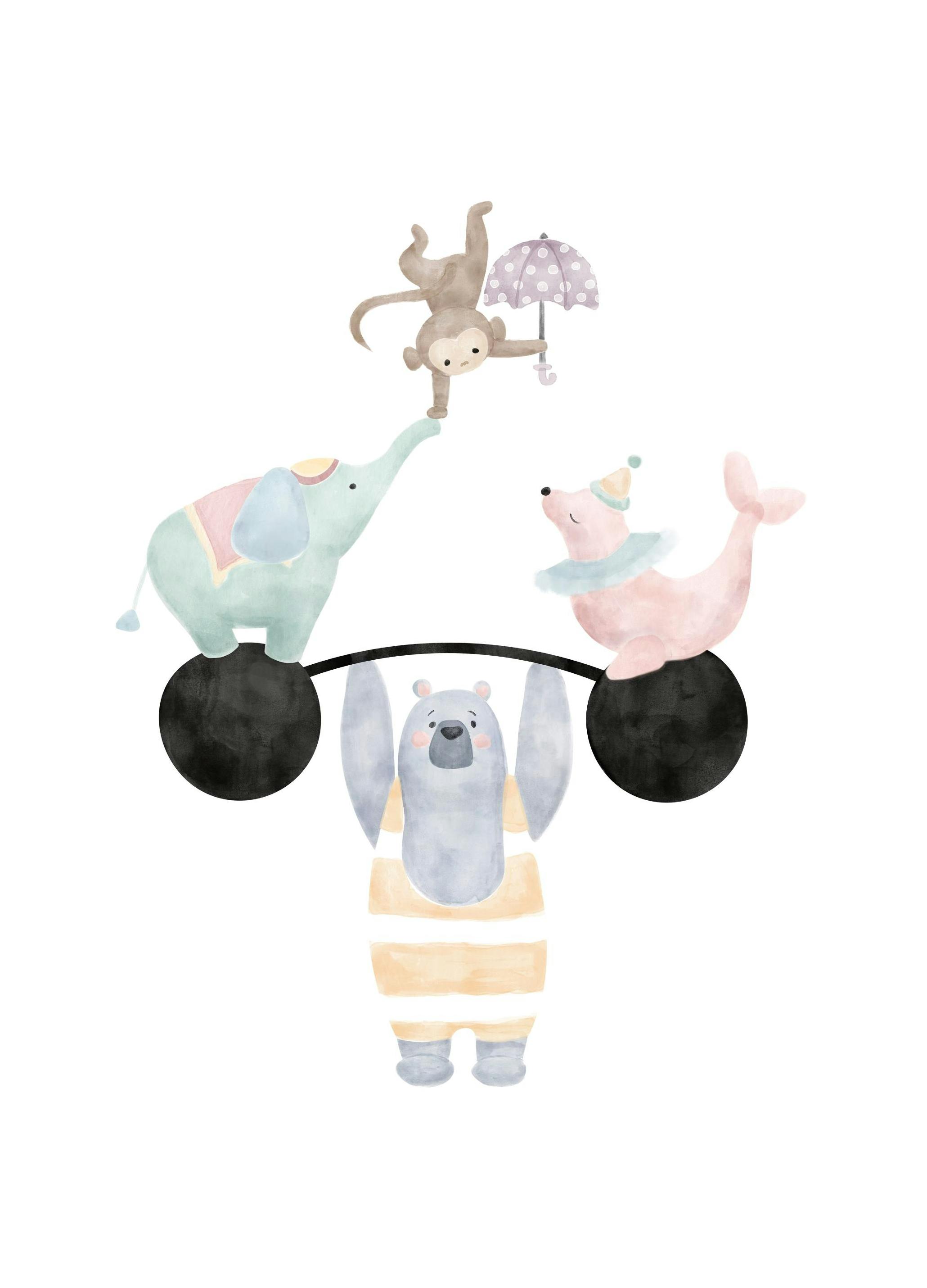 Acrobat du Cirque Poster (50x70 cm) - Poster Store
