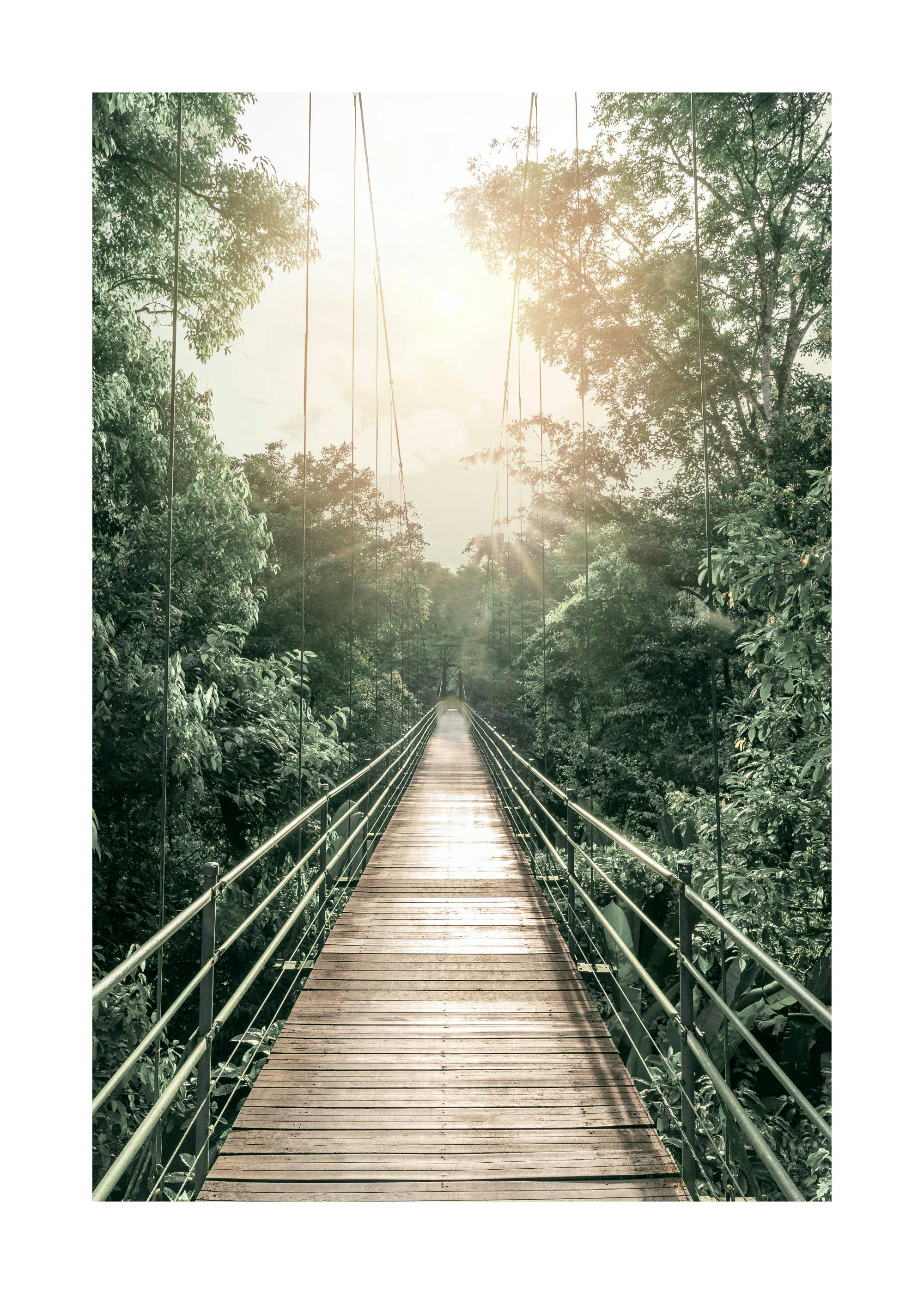 Hanging Bridge Poster 0