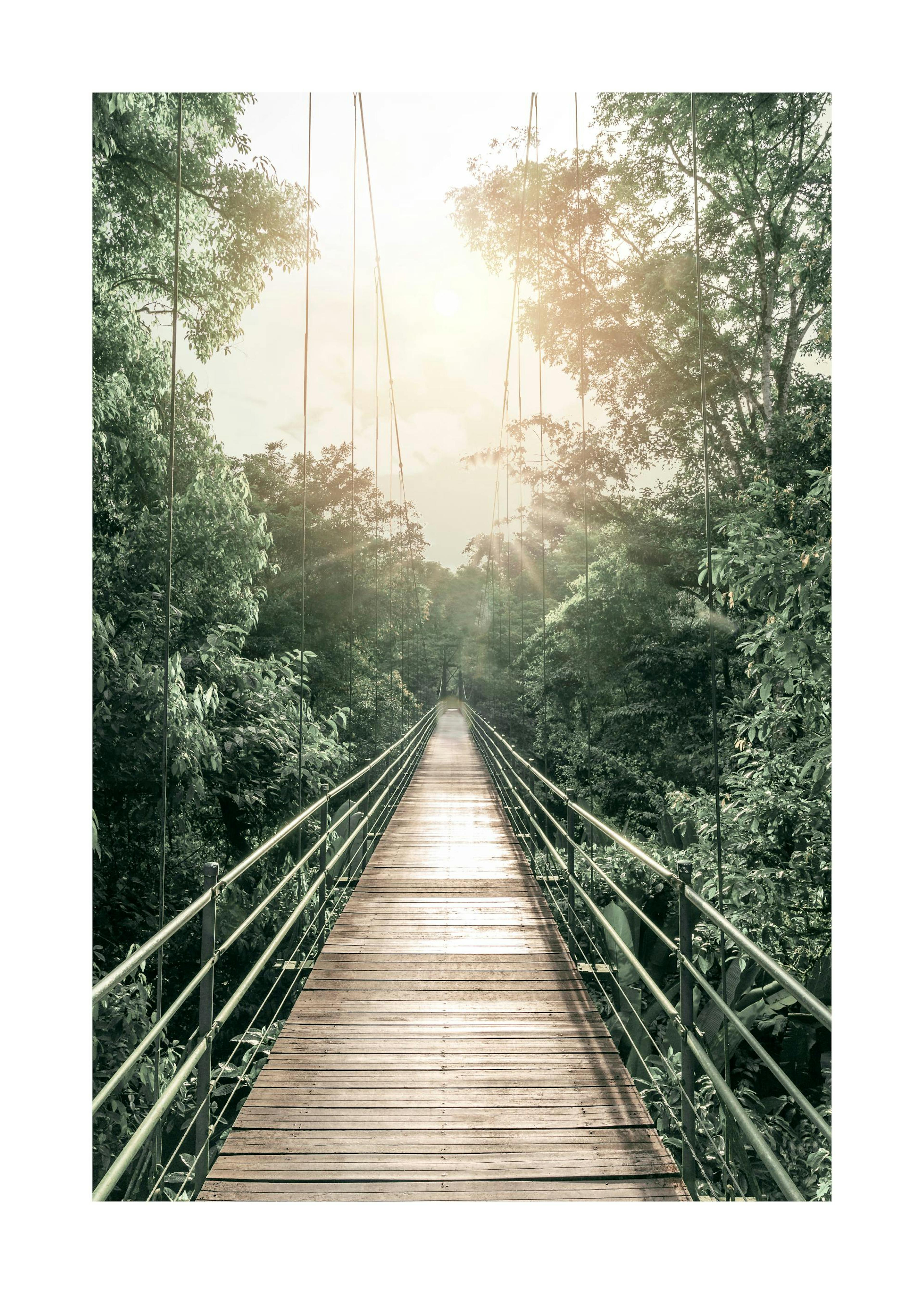 Hanging Bridge Poster 0