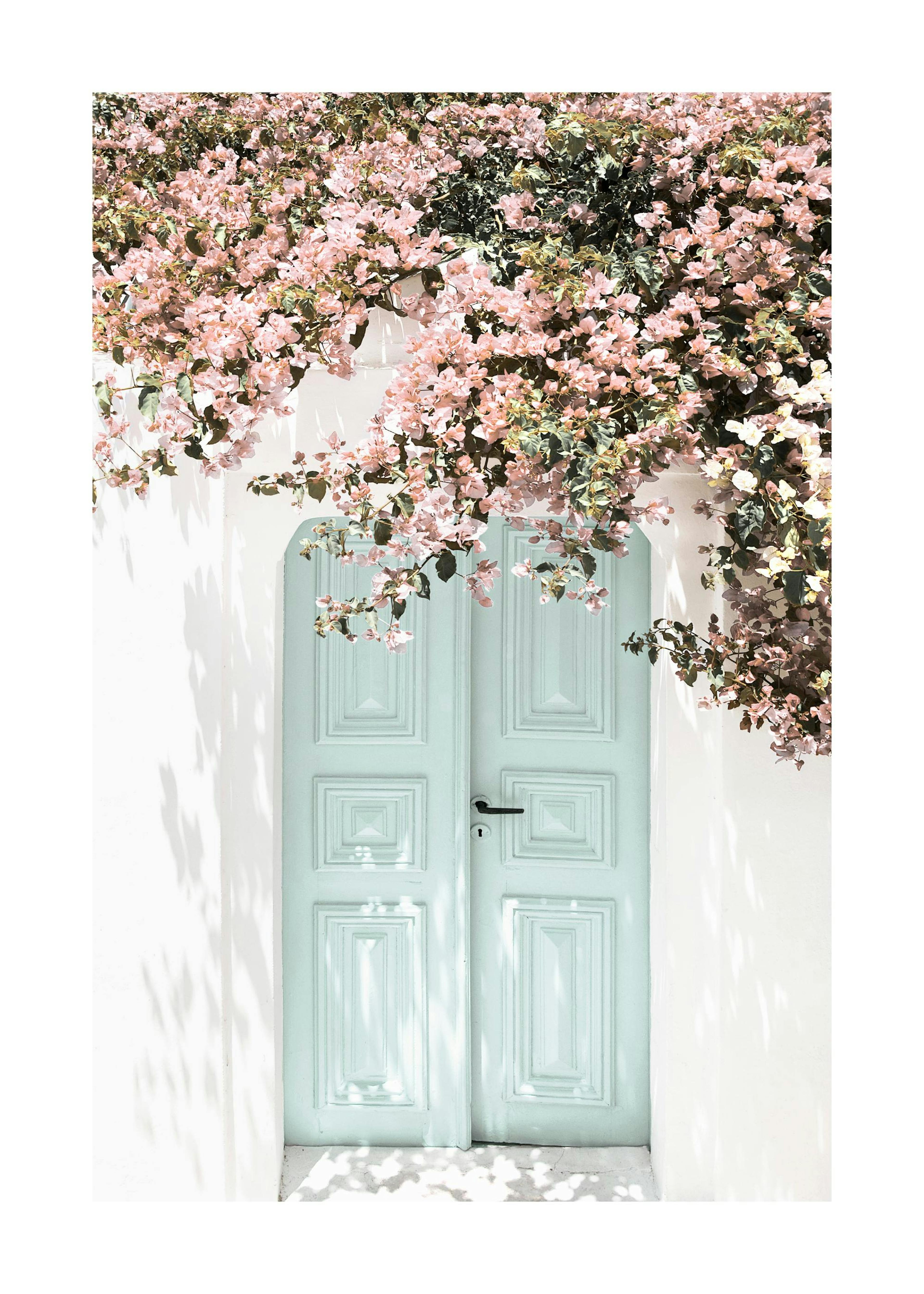 Pink Flower Door Poster 0