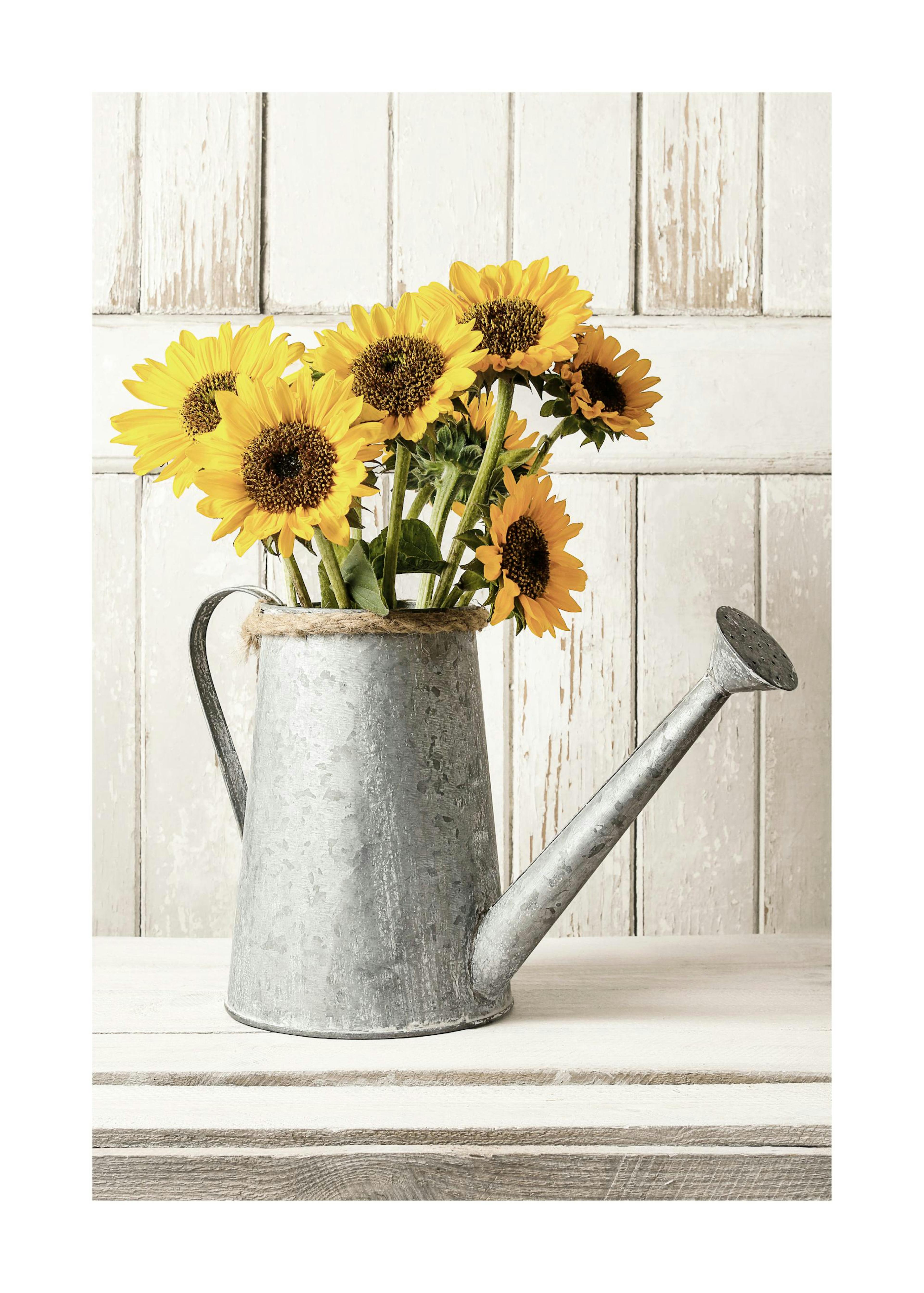 Vaso di Girasoli Poster 0