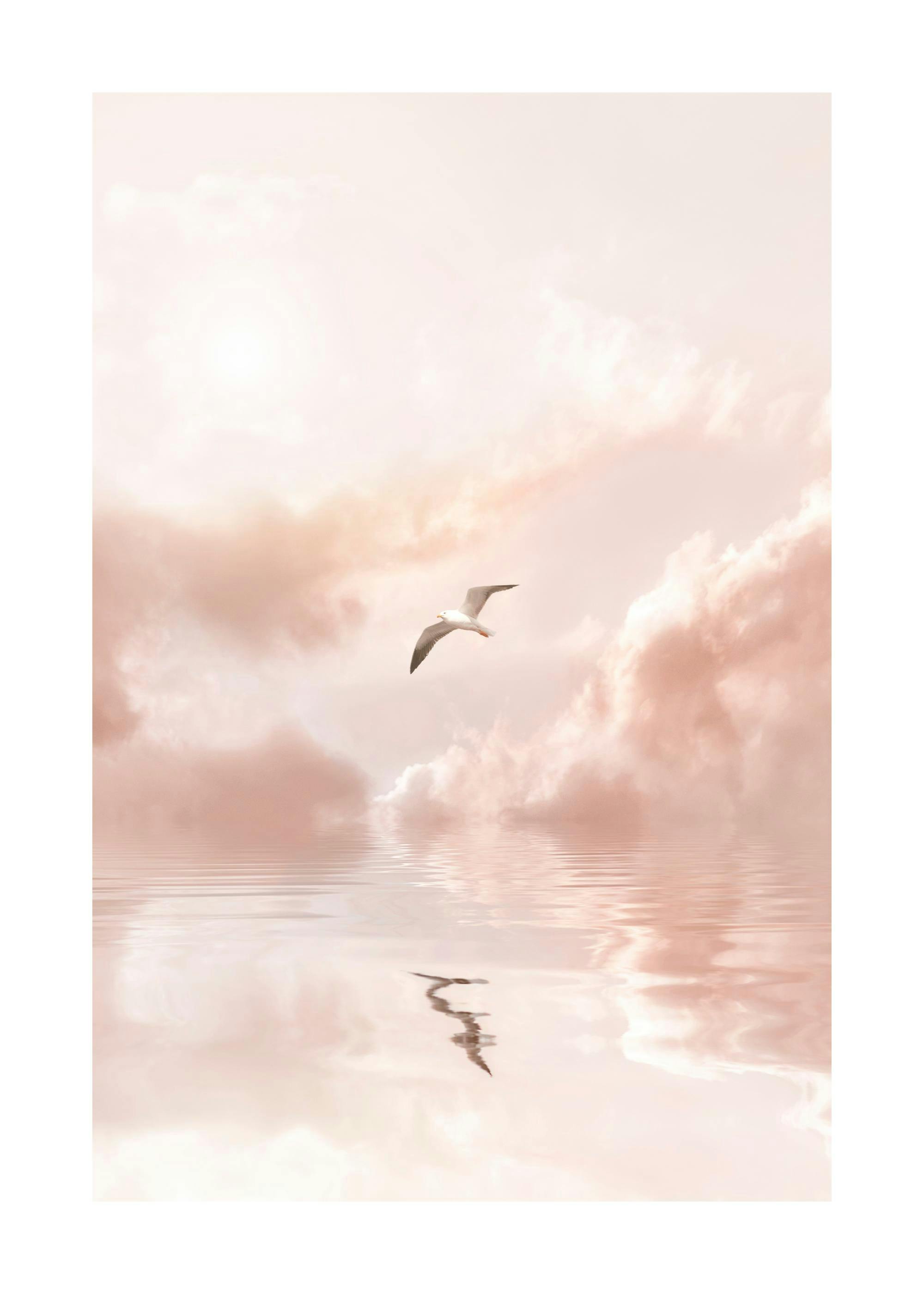 Vogel am Himmel Poster 0