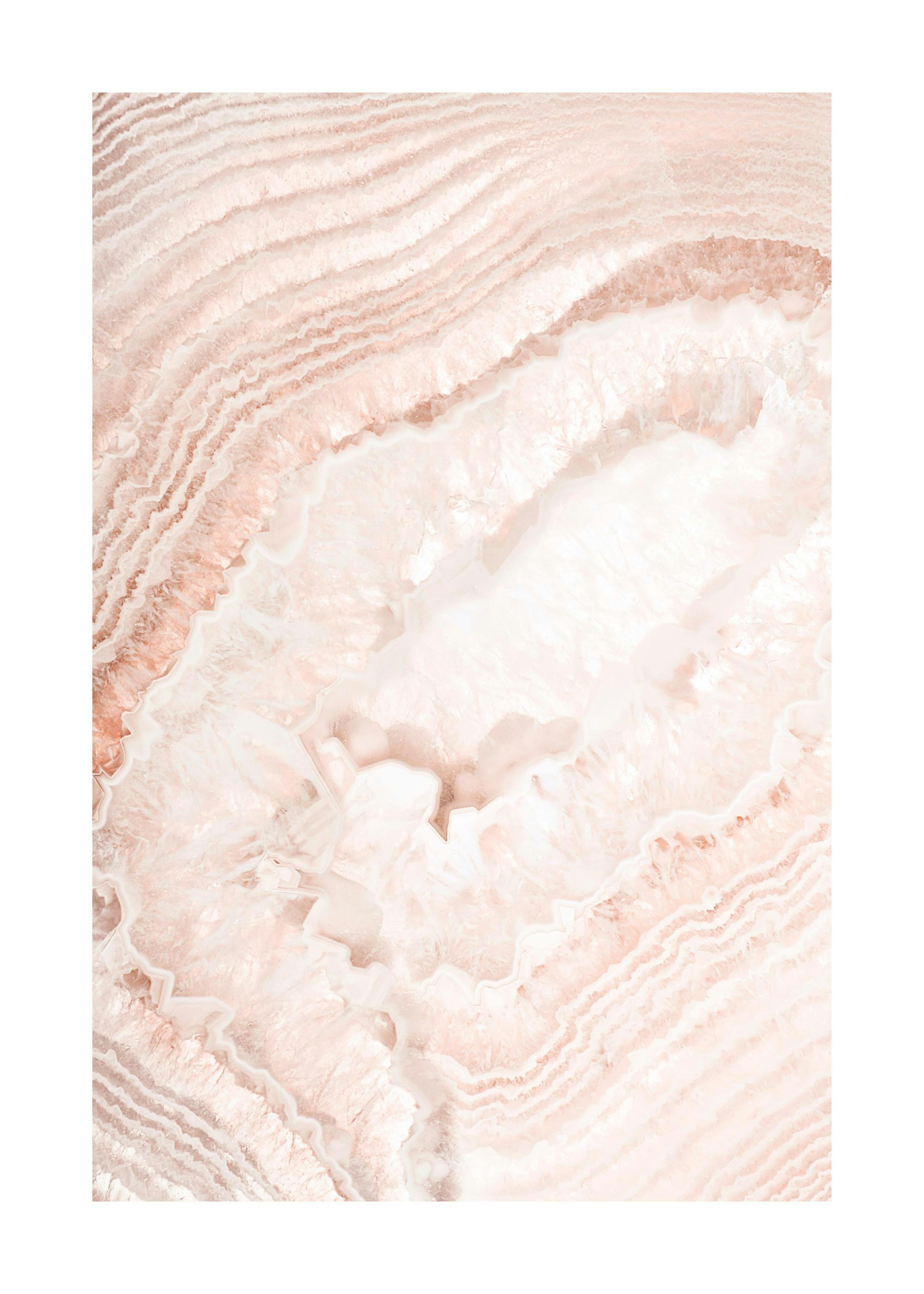 Agate Rose Poster 0