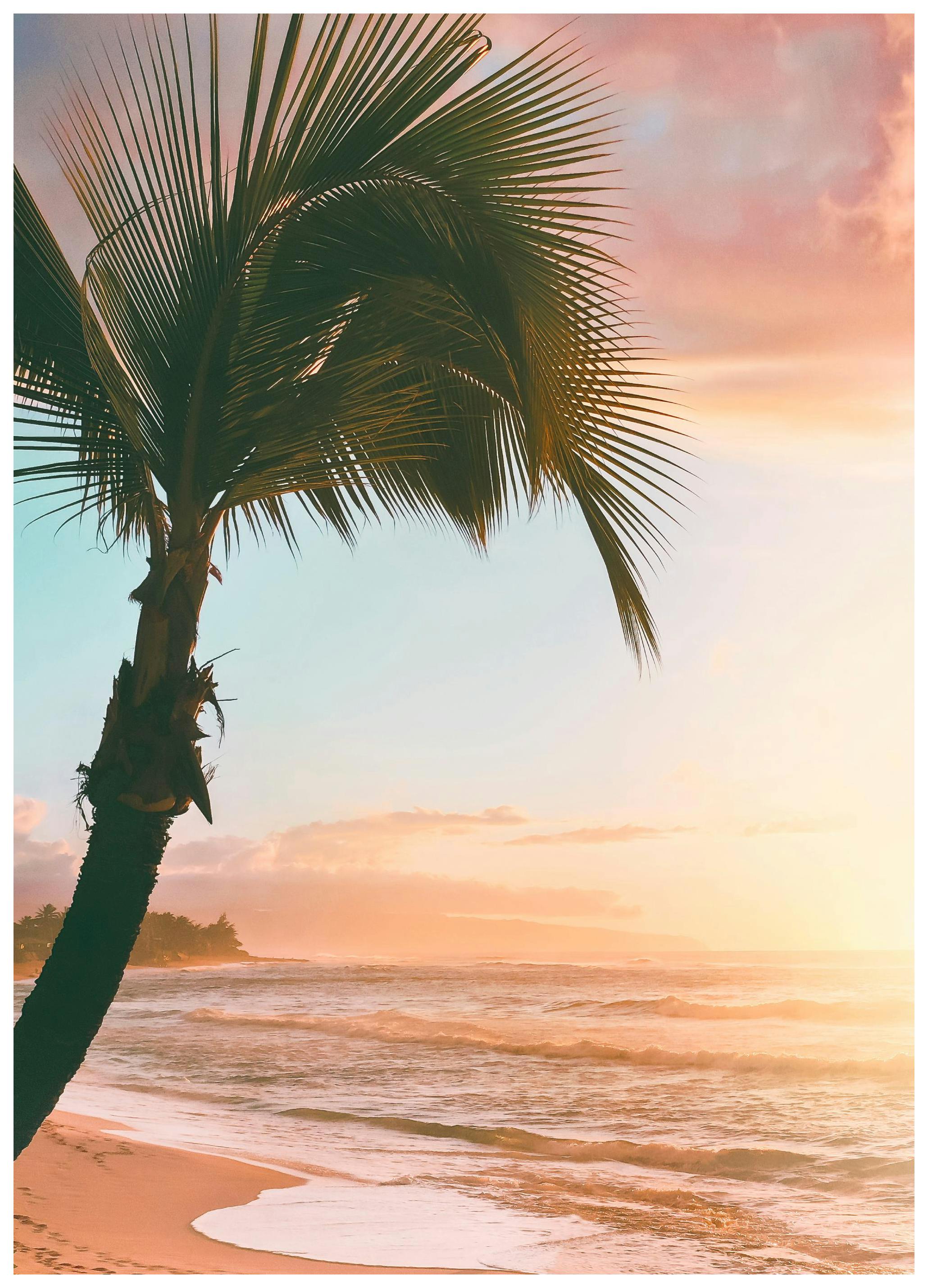 Zonsondergang Palm Poster (21x30 cm) - Poster Store