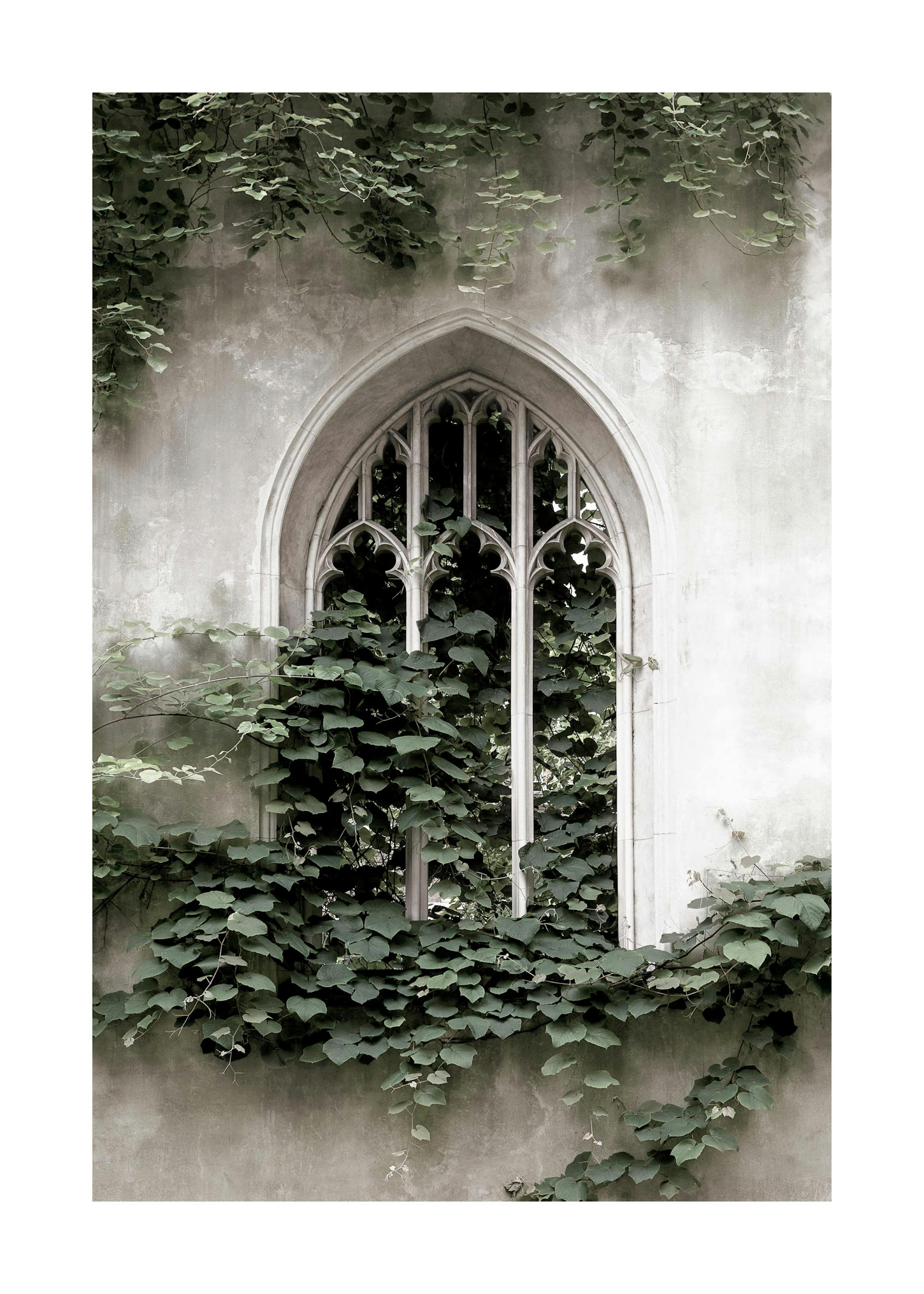 Castle Window Poster 0