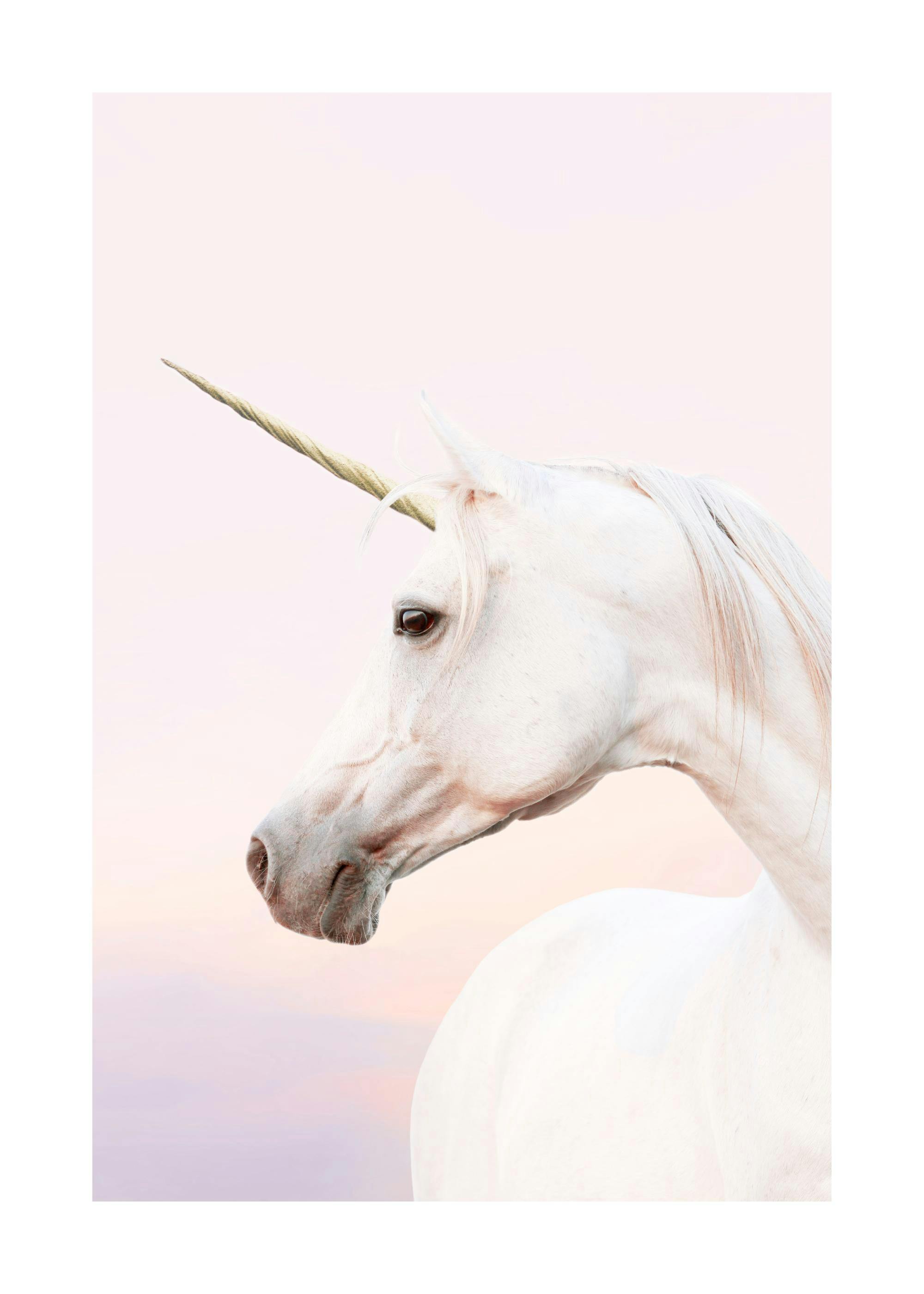 Poster Portrait Licorne 0