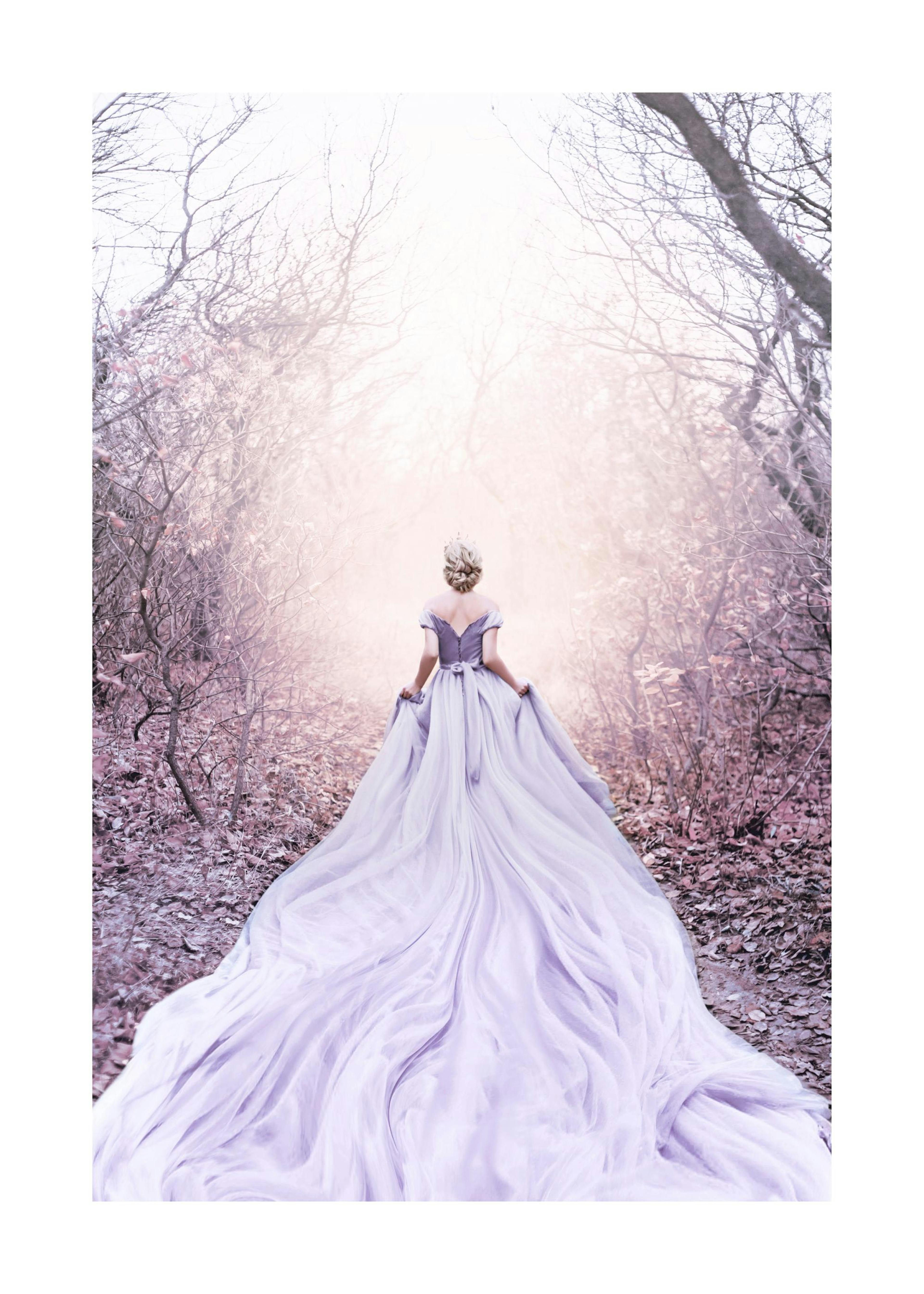 Princesse Plakat 0