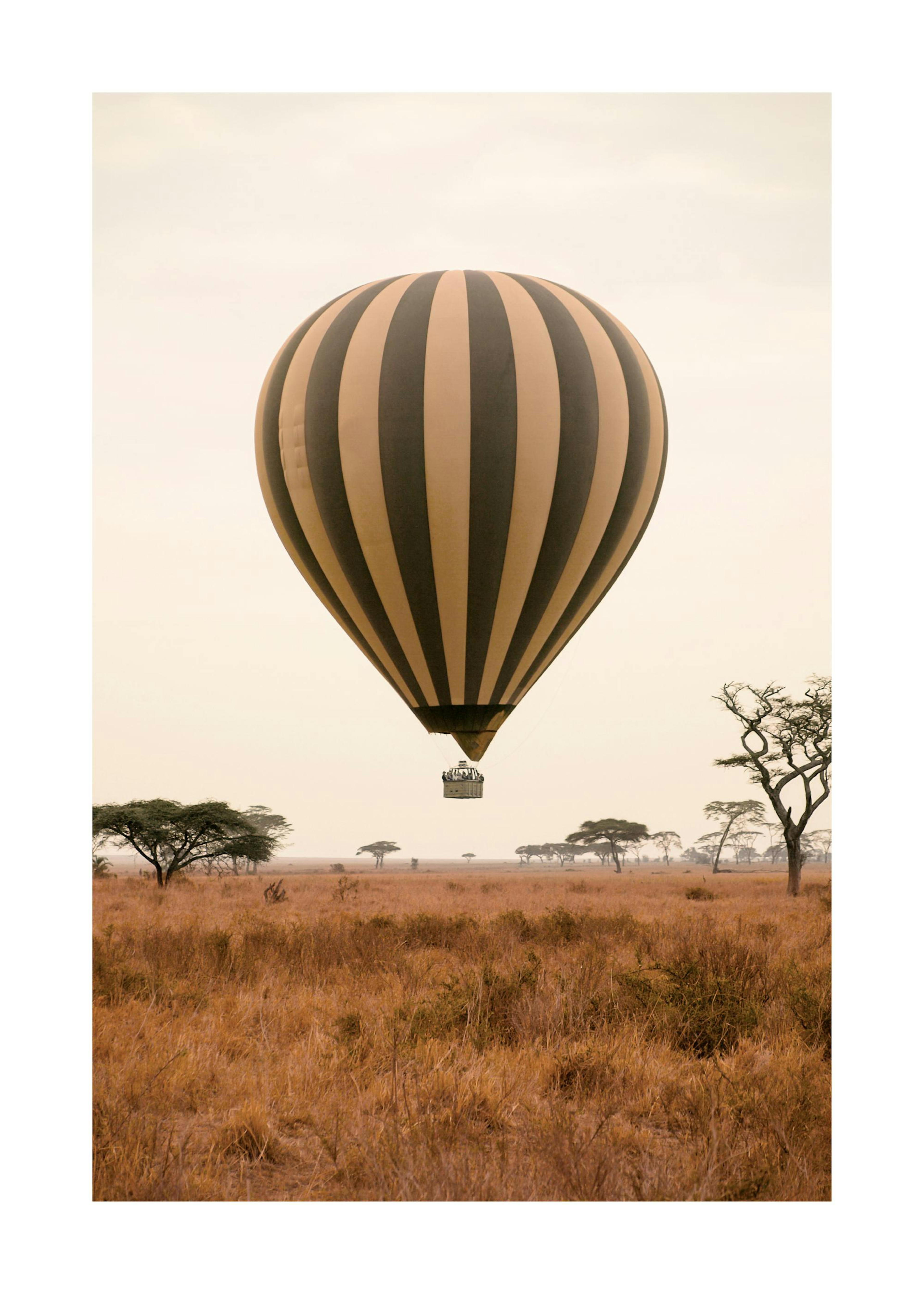 Savannah Hot Air Balloon Poster 0