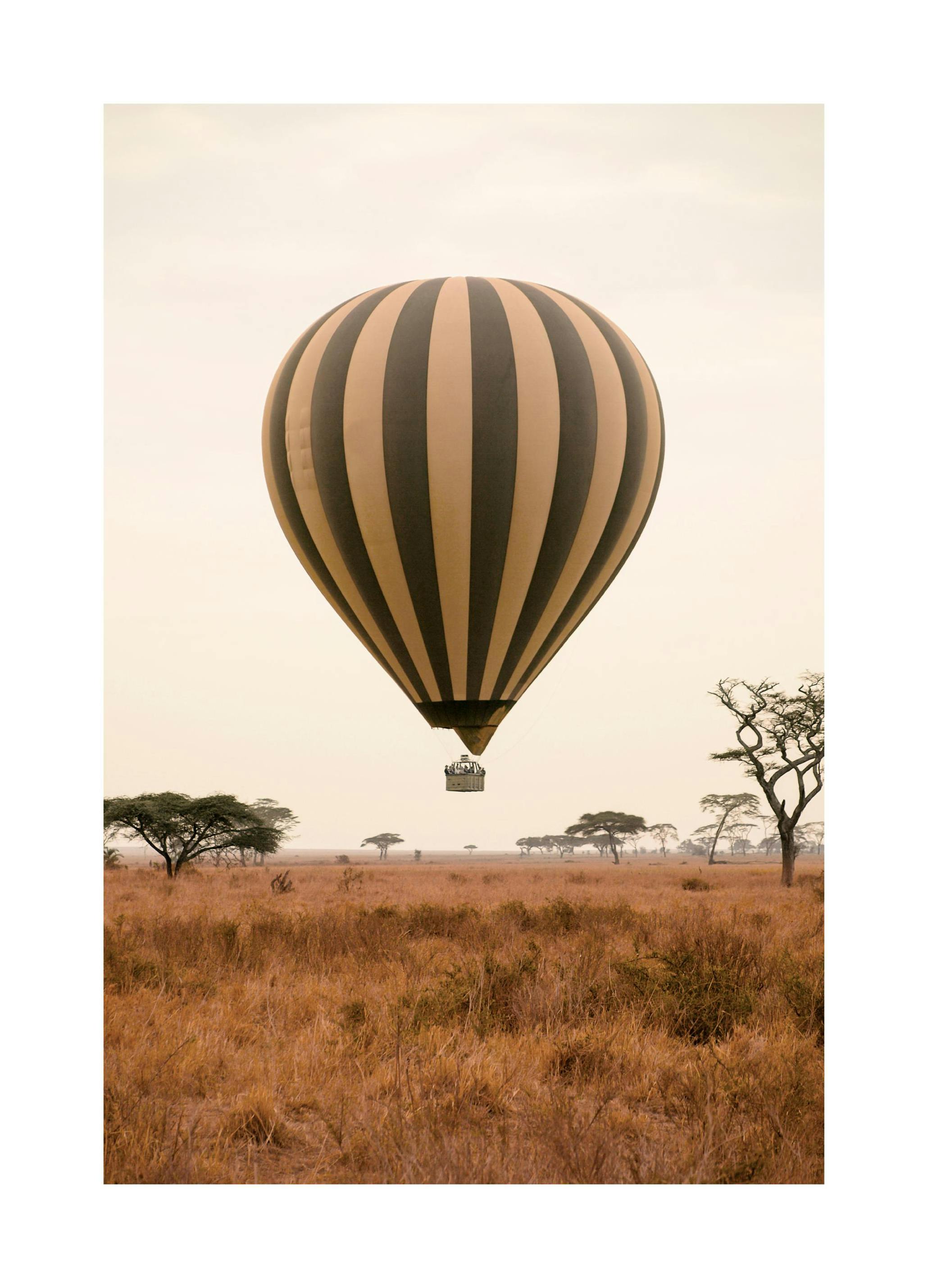 Savanne Heteluchtballon Poster (50x70 cm) - Poster Store