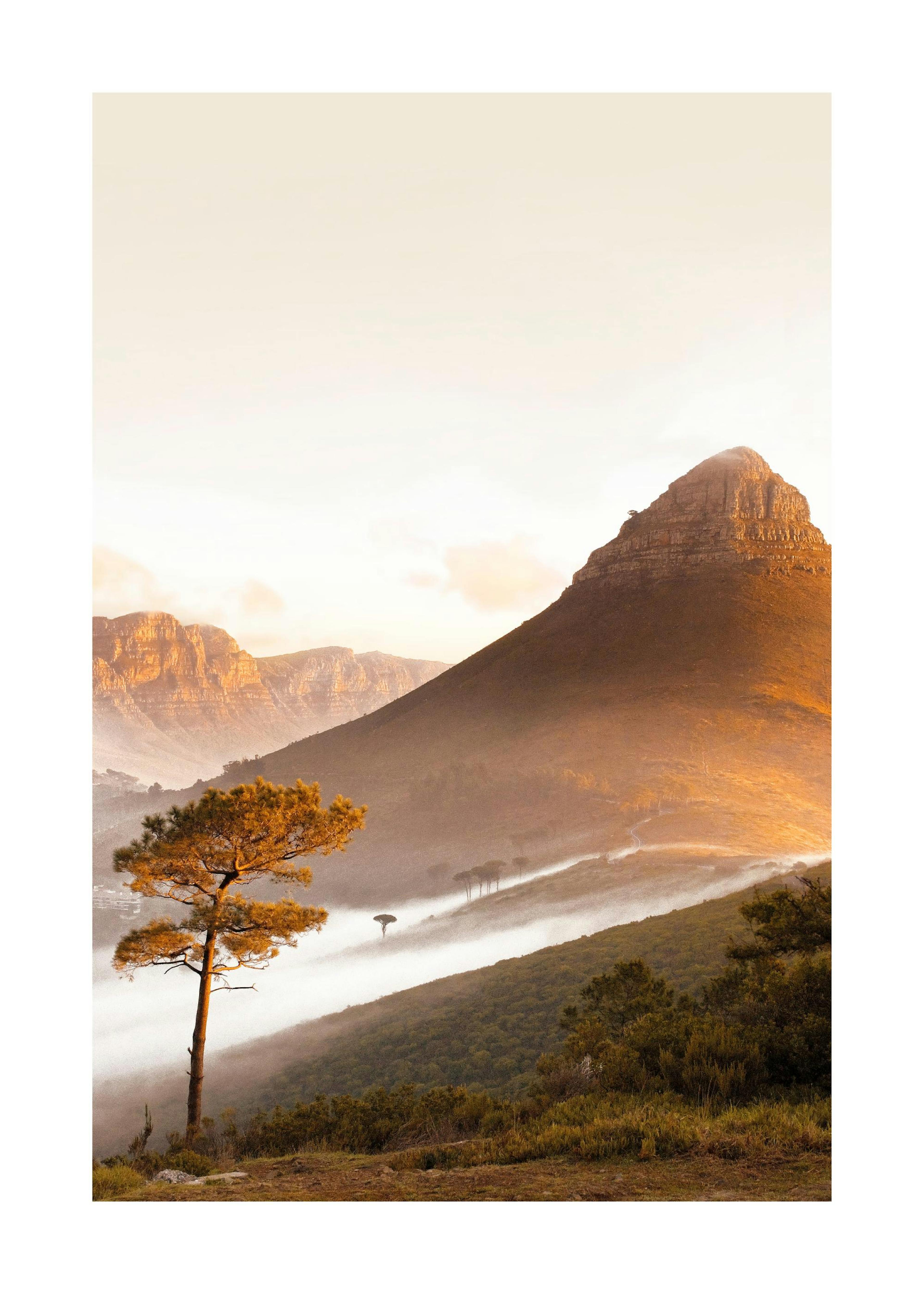 Vill Natur Plakat 0