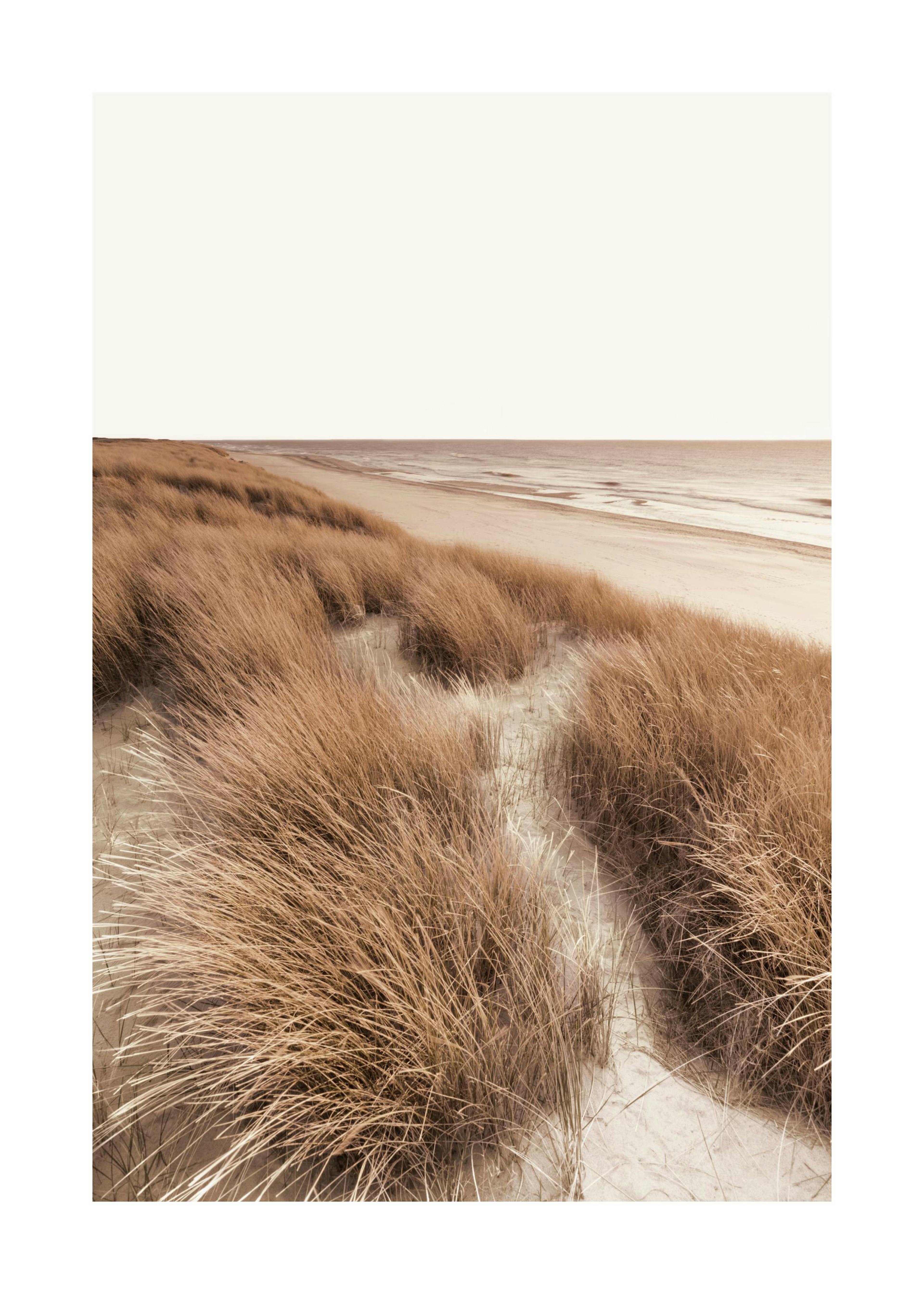 Düne Strand Poster 0