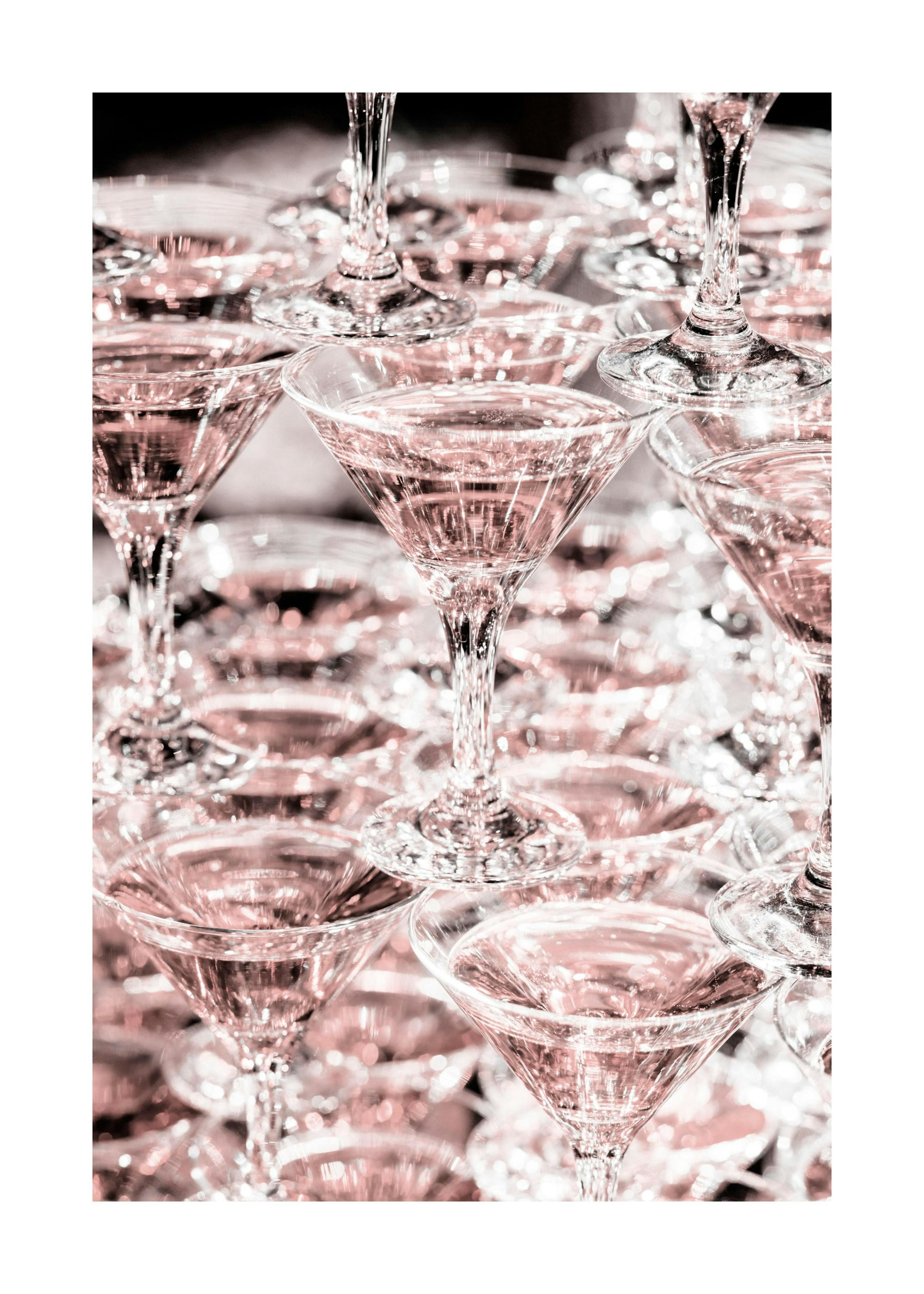 Champagne Rose Poster 0