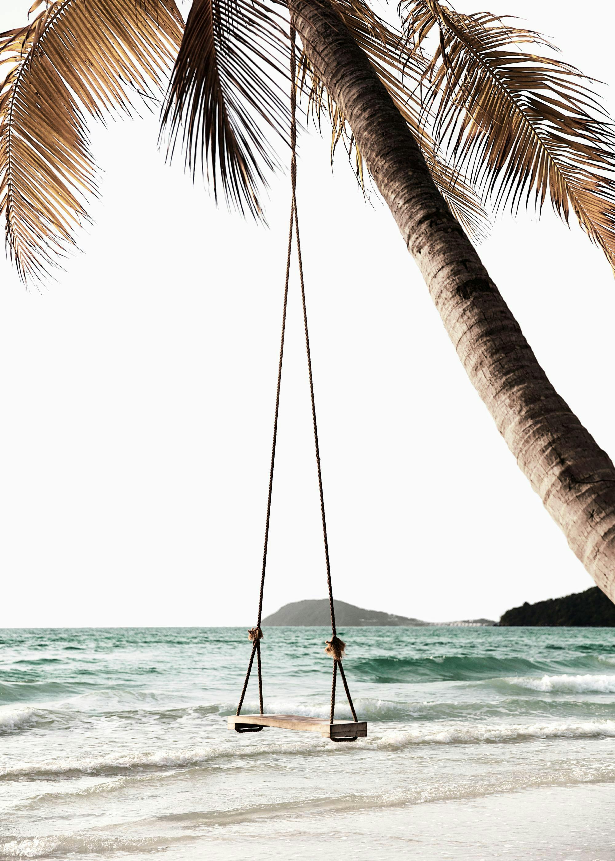 Palm Tree Swing Poster 0