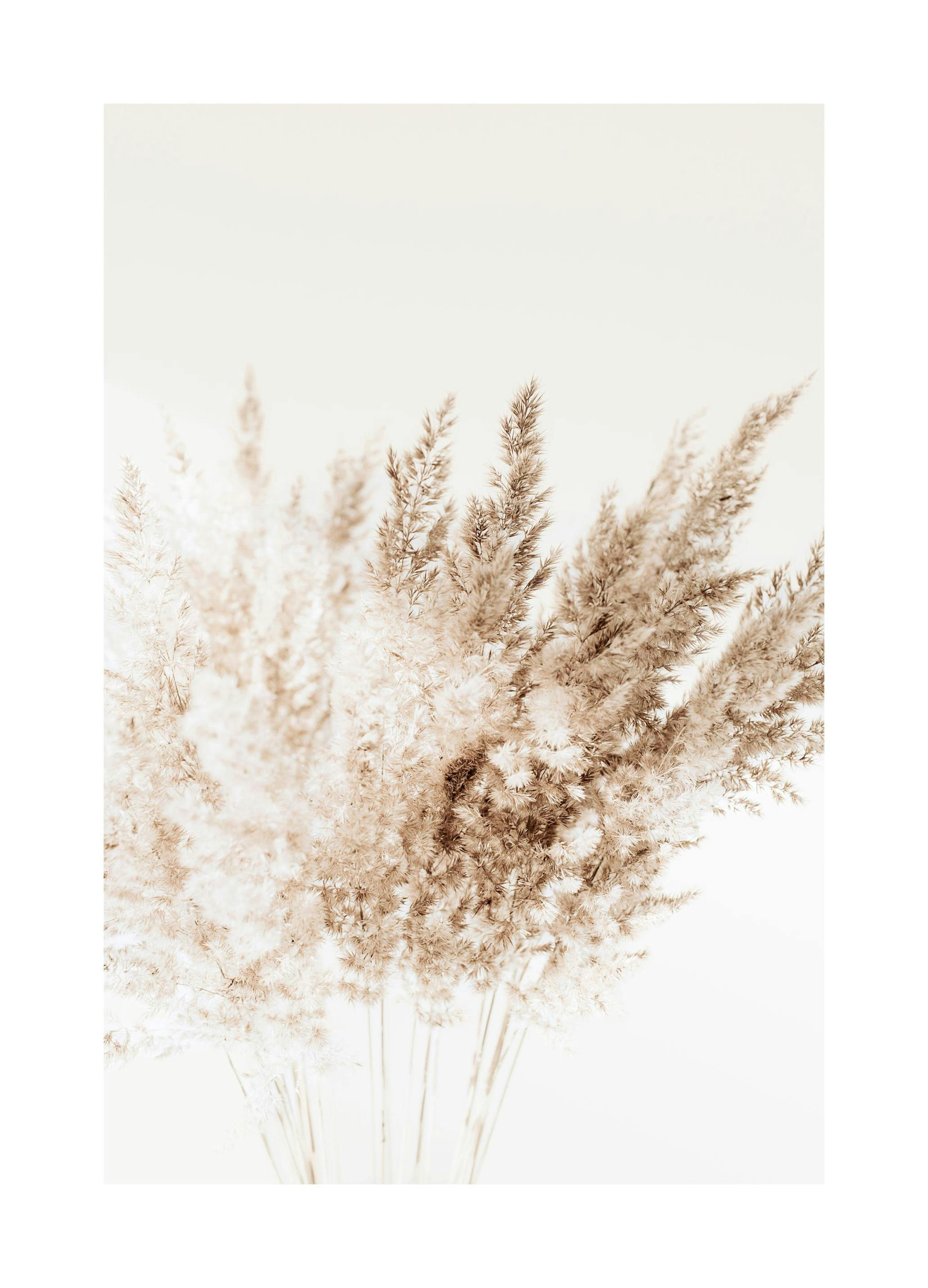 Bouquet Roseaux Poster (30x40 cm) - Poster Store