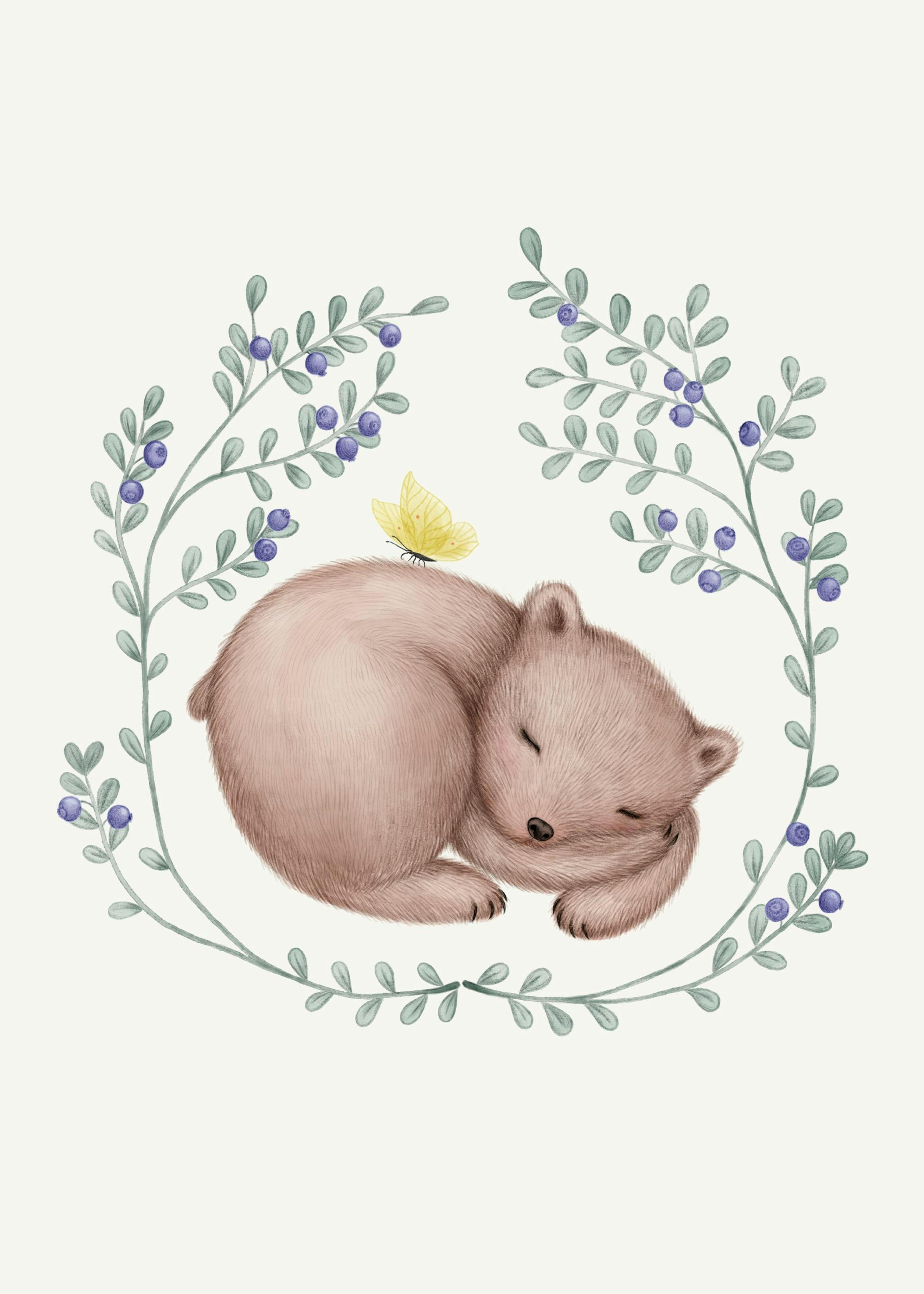 Schalfender Bär Poster 0
