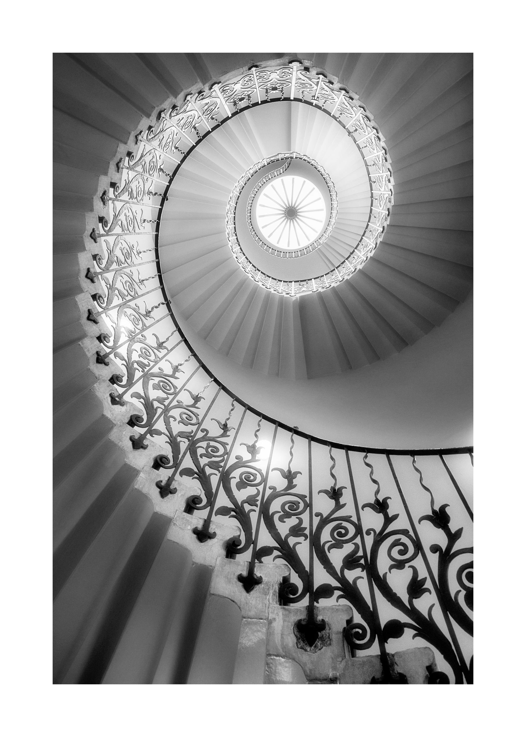 Escalera de Tulipán Póster 0